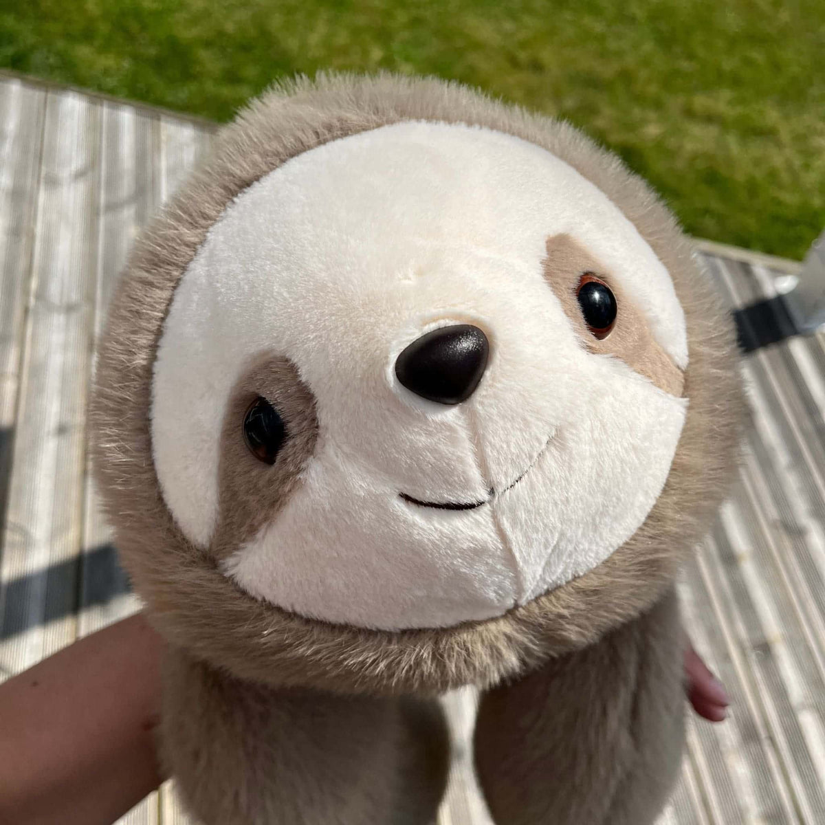 Sunnie das Faultier Gewichtstier