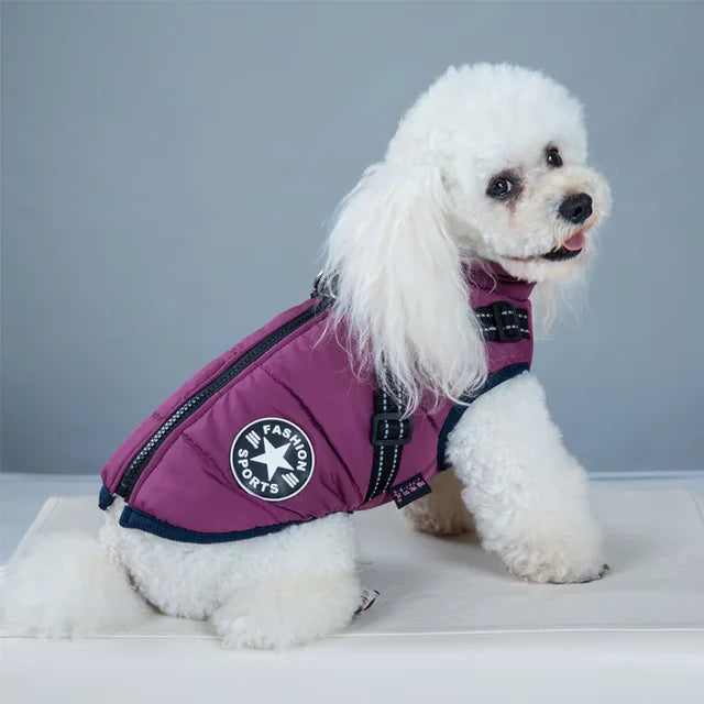 Wind- und wasserdichte Hundejacke mit integriertem Geschirr