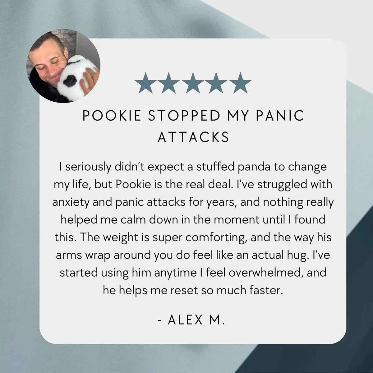 Pookie der Panda gewichtetes Kuscheltier