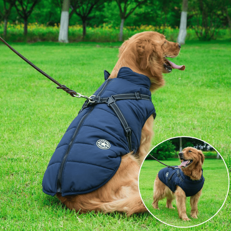 Winterjacke für Hunde mit Geschirr