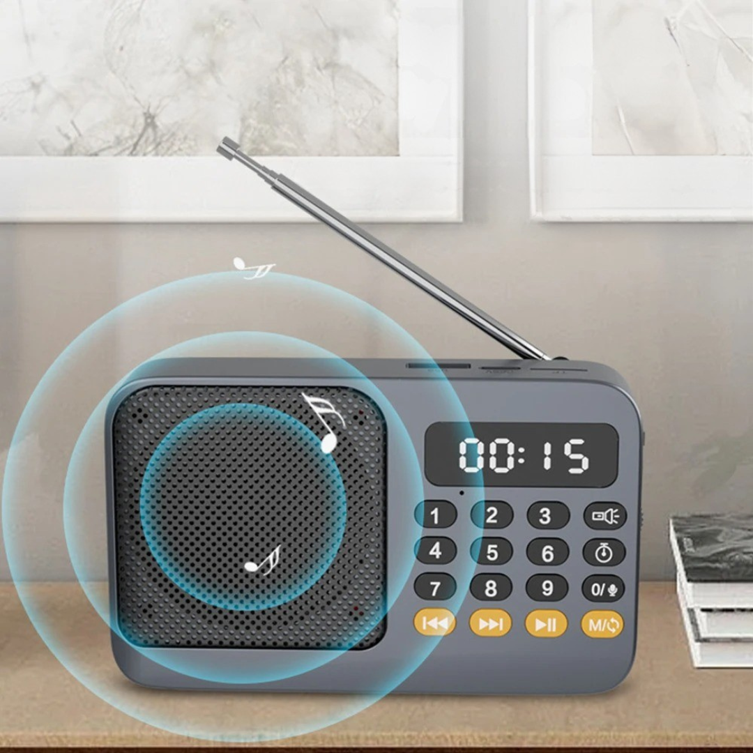 Nordspur | Audionix Tragbarer Akku-Radioempfänger mit Bluetooth-Lautsprecher