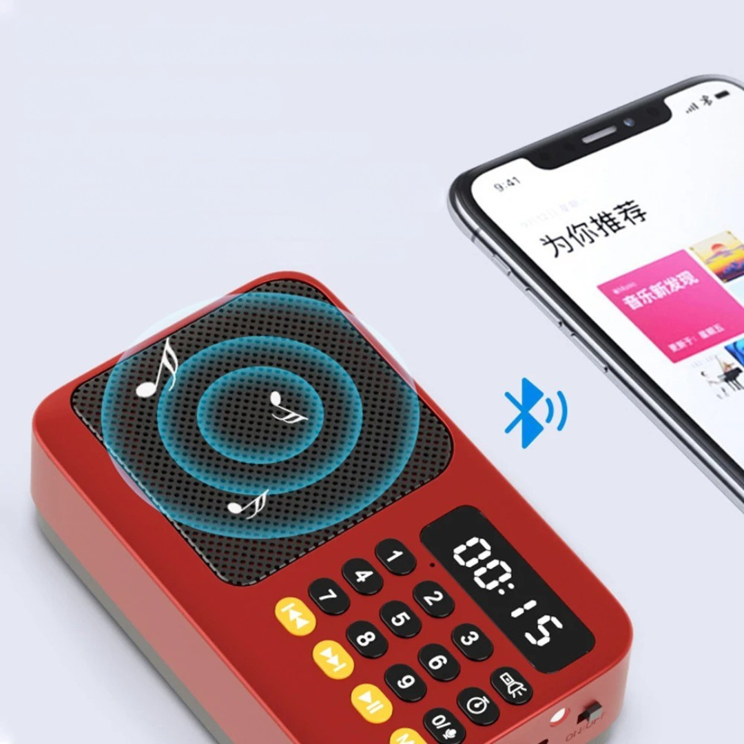Nordspur | AureoWave Tragbarer wiederaufladbarer Radio-Bluetooth-Lautsprecher