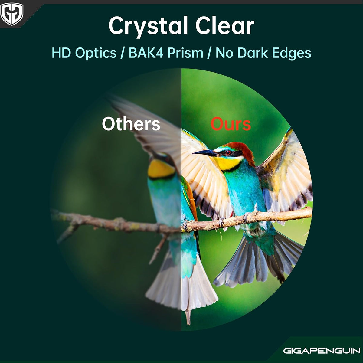 15x52 UHD Fernglas