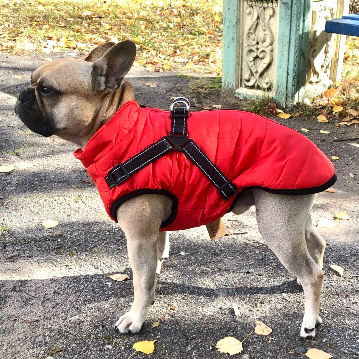 Hundejacke Wind- & Wasserabweisend Integriertes Geschirr