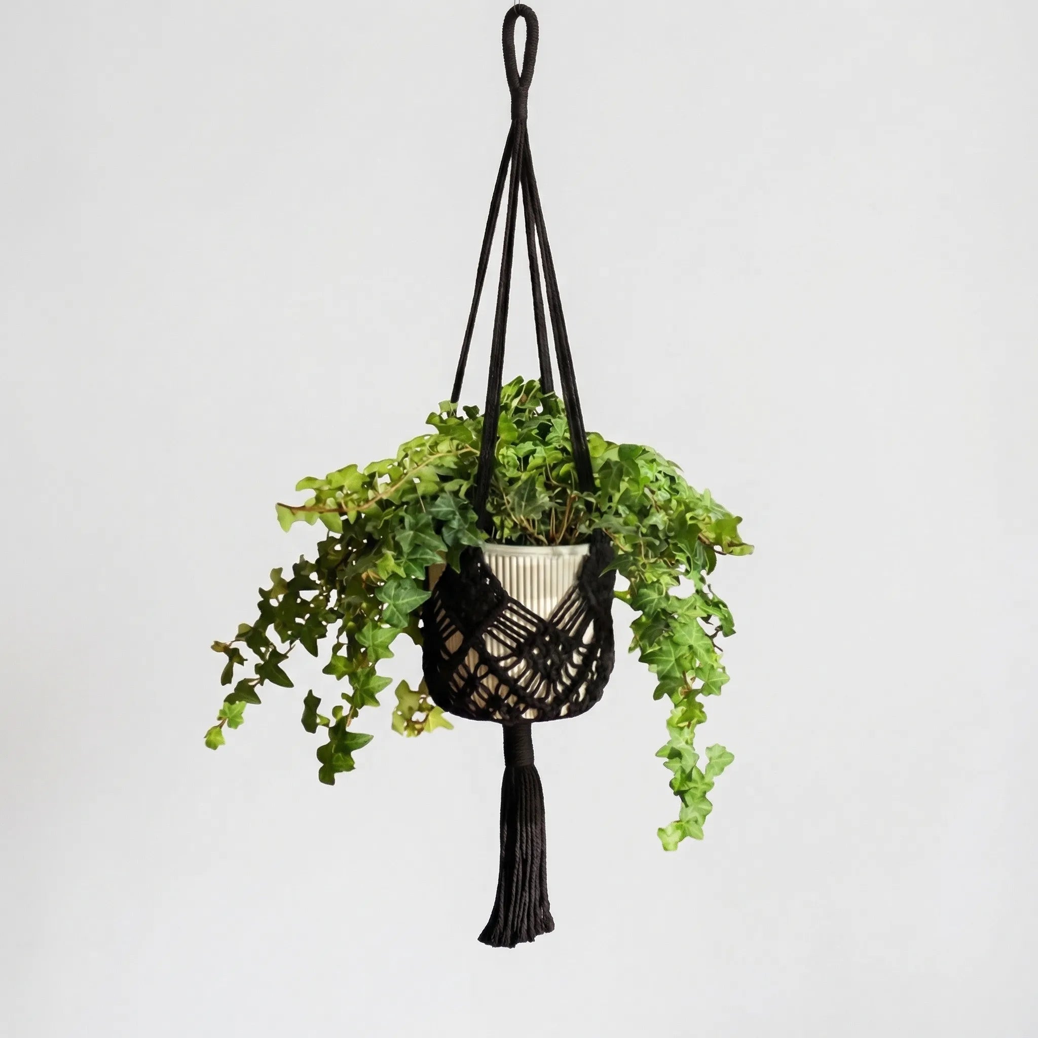 Boho Makramee Pflanzenhänger mit geometrischem Knotenmuster und Quaste