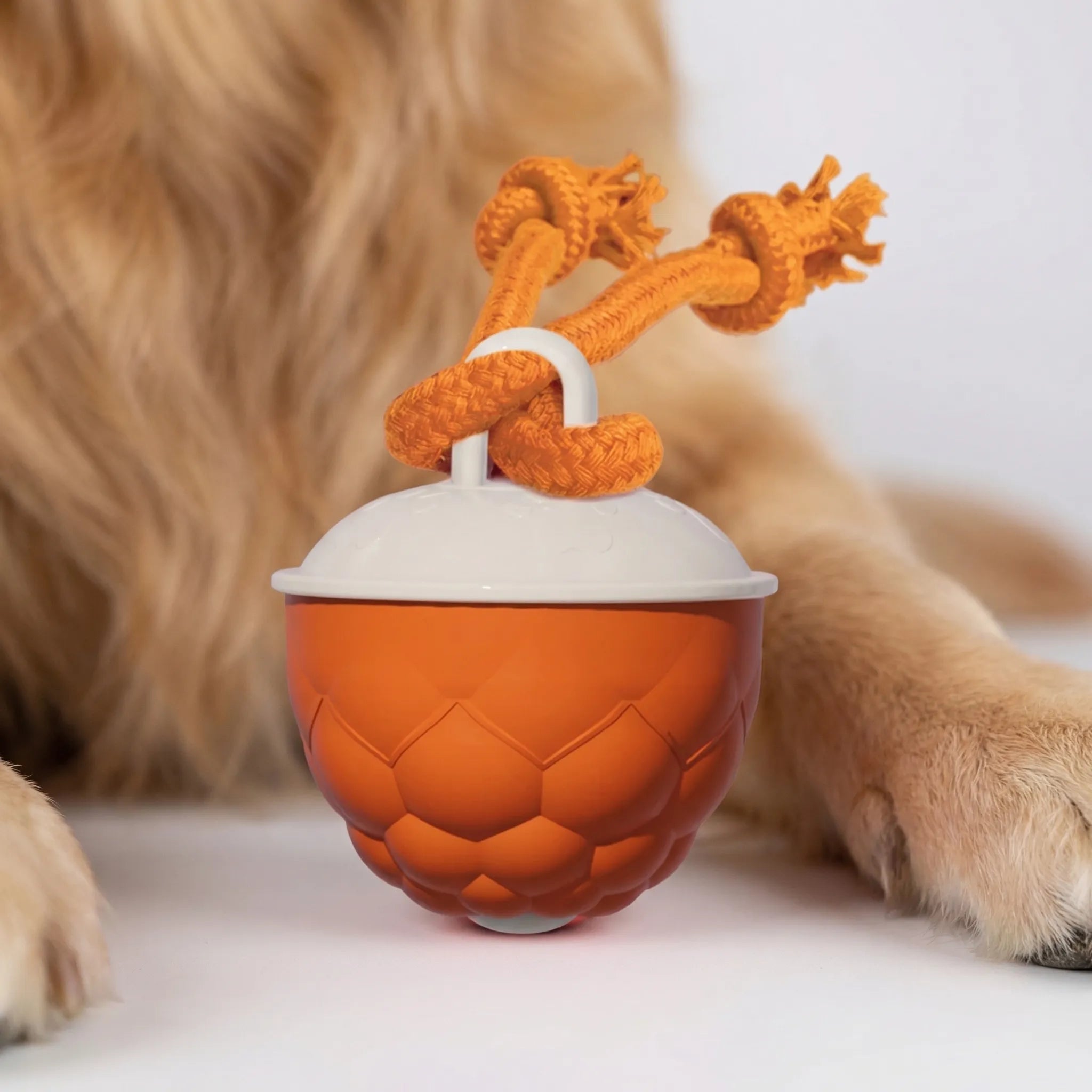 Automatischer Hüpfball für Hunde und Katzen interaktives Spielzeug