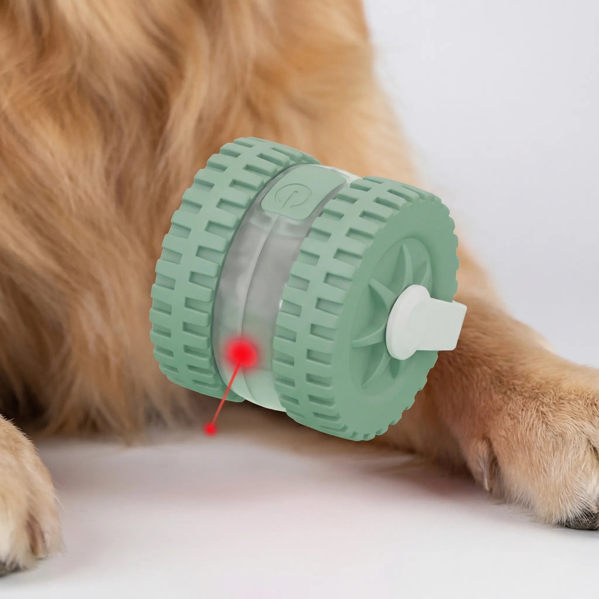 Automatischer Hüpfball für Hunde und Katzen interaktives Spielzeug