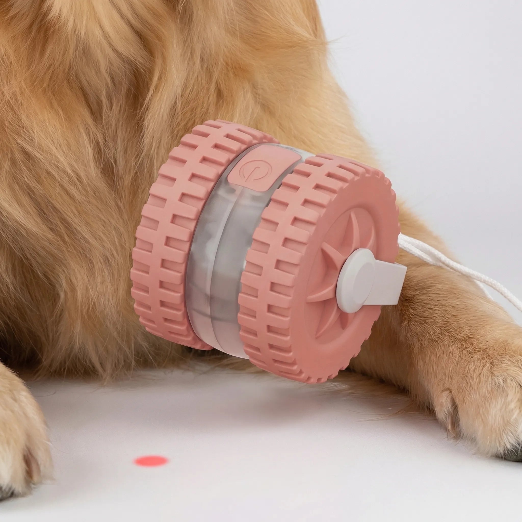 Automatischer Hüpfball für Hunde und Katzen interaktives Spielzeug