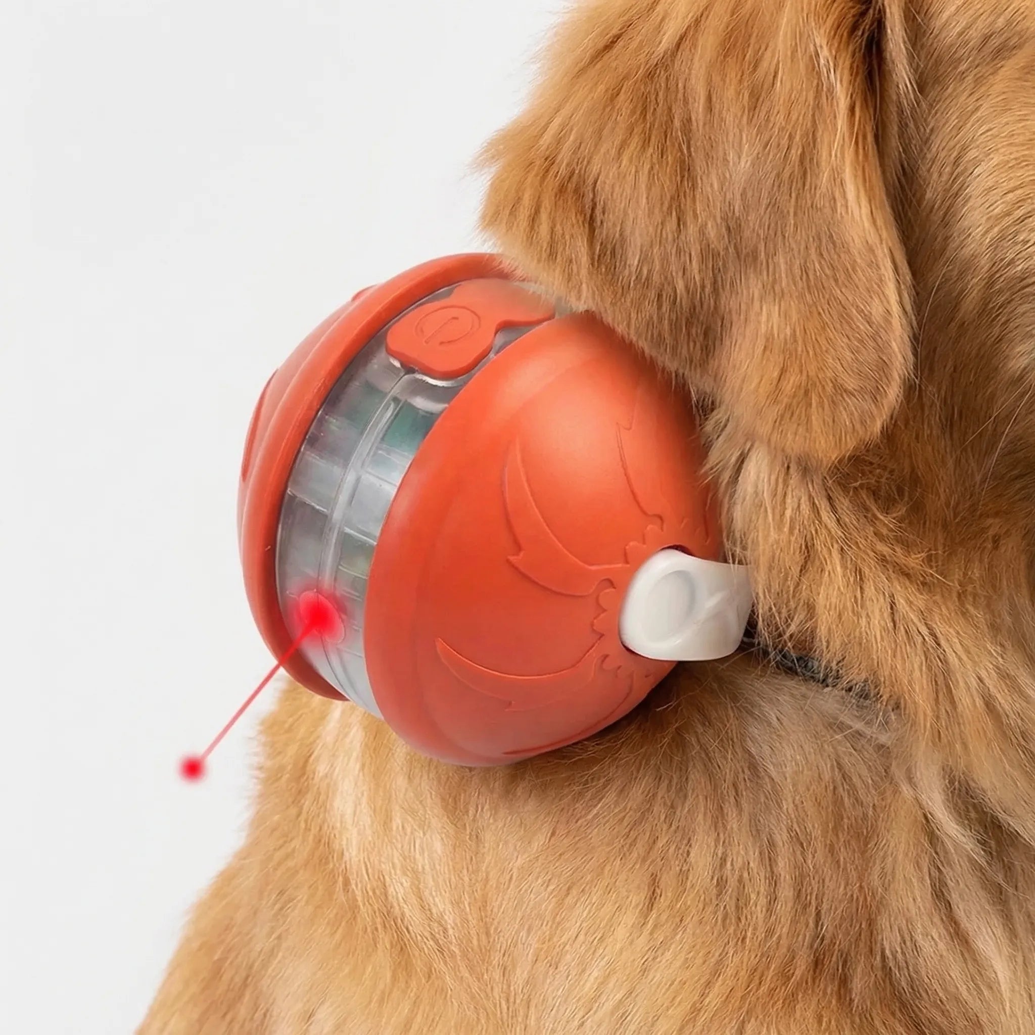 Automatischer Hüpfball für Hunde und Katzen interaktives Spielzeug