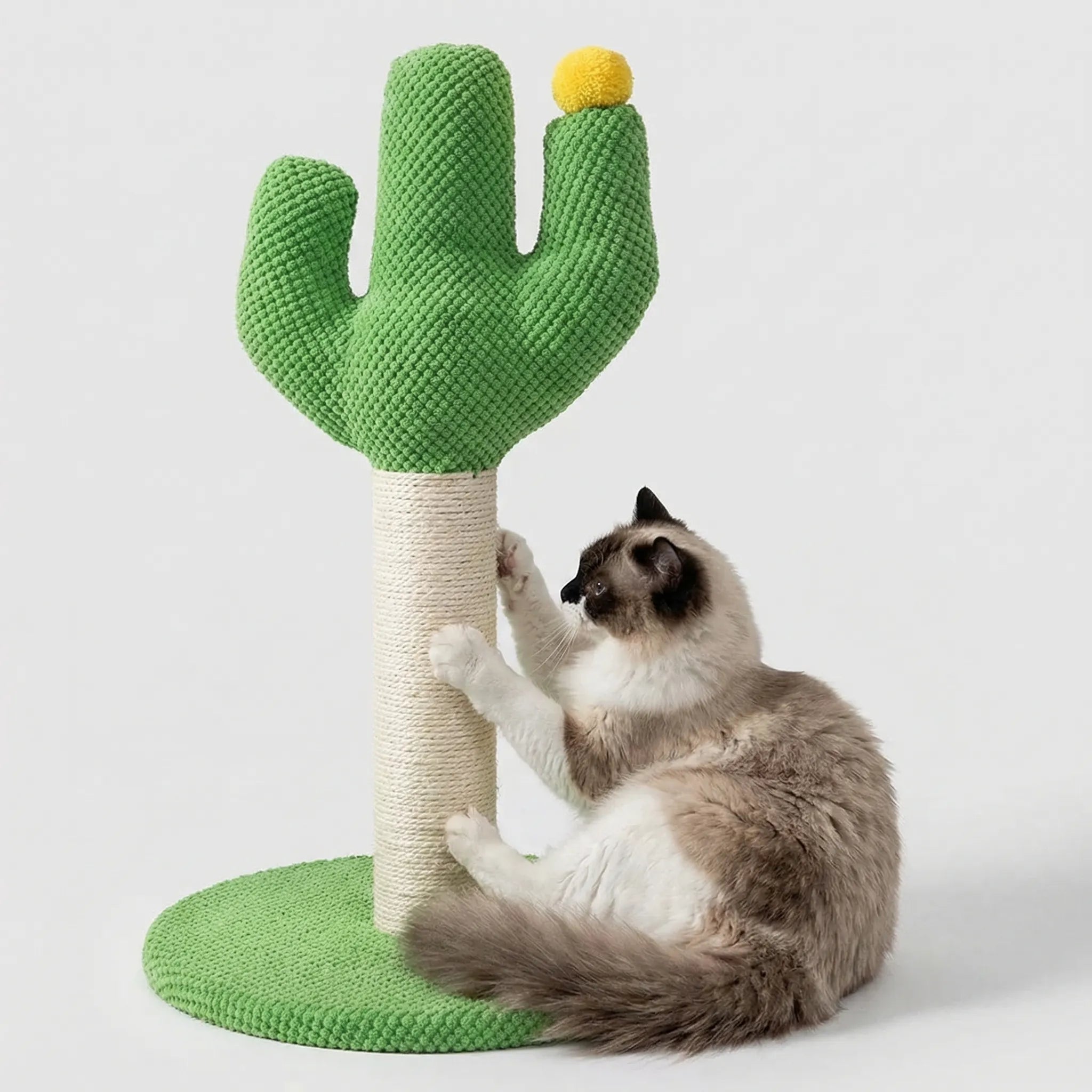 Kaktus Kratzbaum für Katzen mit Seilstamm und Spielbällen