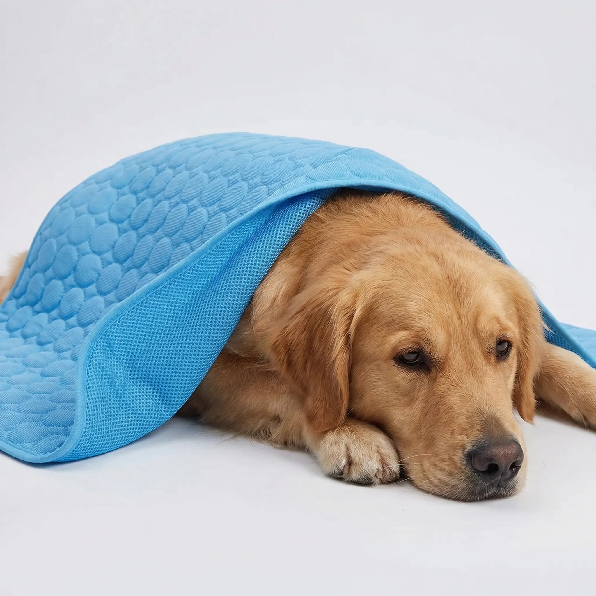 Atmungsaktive Kühlmatte für Haustiere, waschbar, für Hunde und Katzen