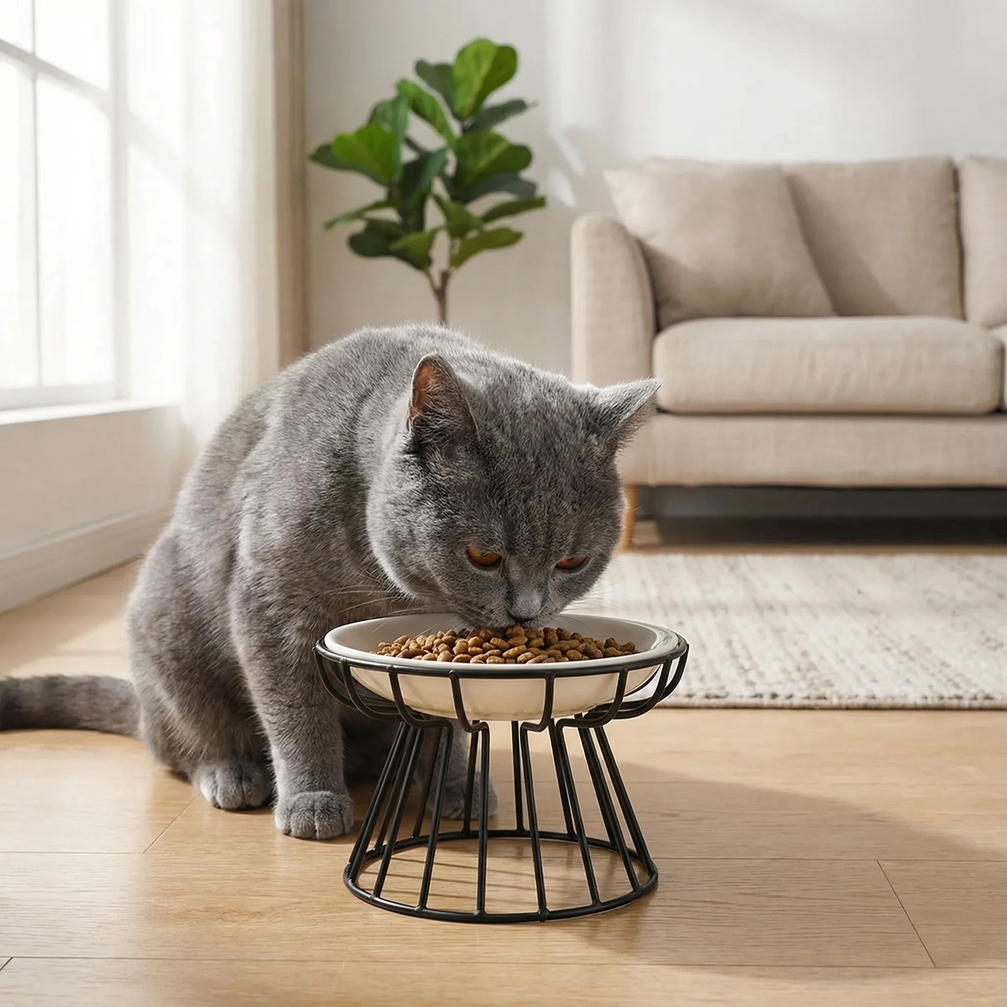 Erhöhter Keramik Futternapf für Katzen und kleine Hunde auf Drahtständer