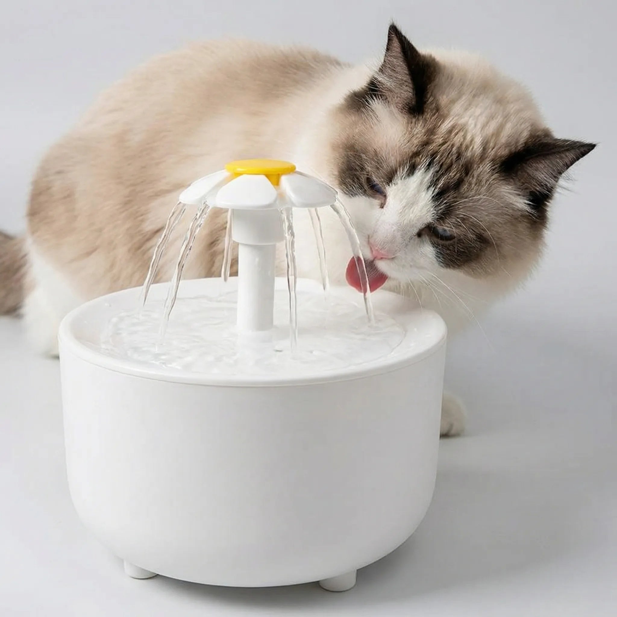 Elektrischer Katzenbrunnen mit Filter und Kaskaden-Auslauf