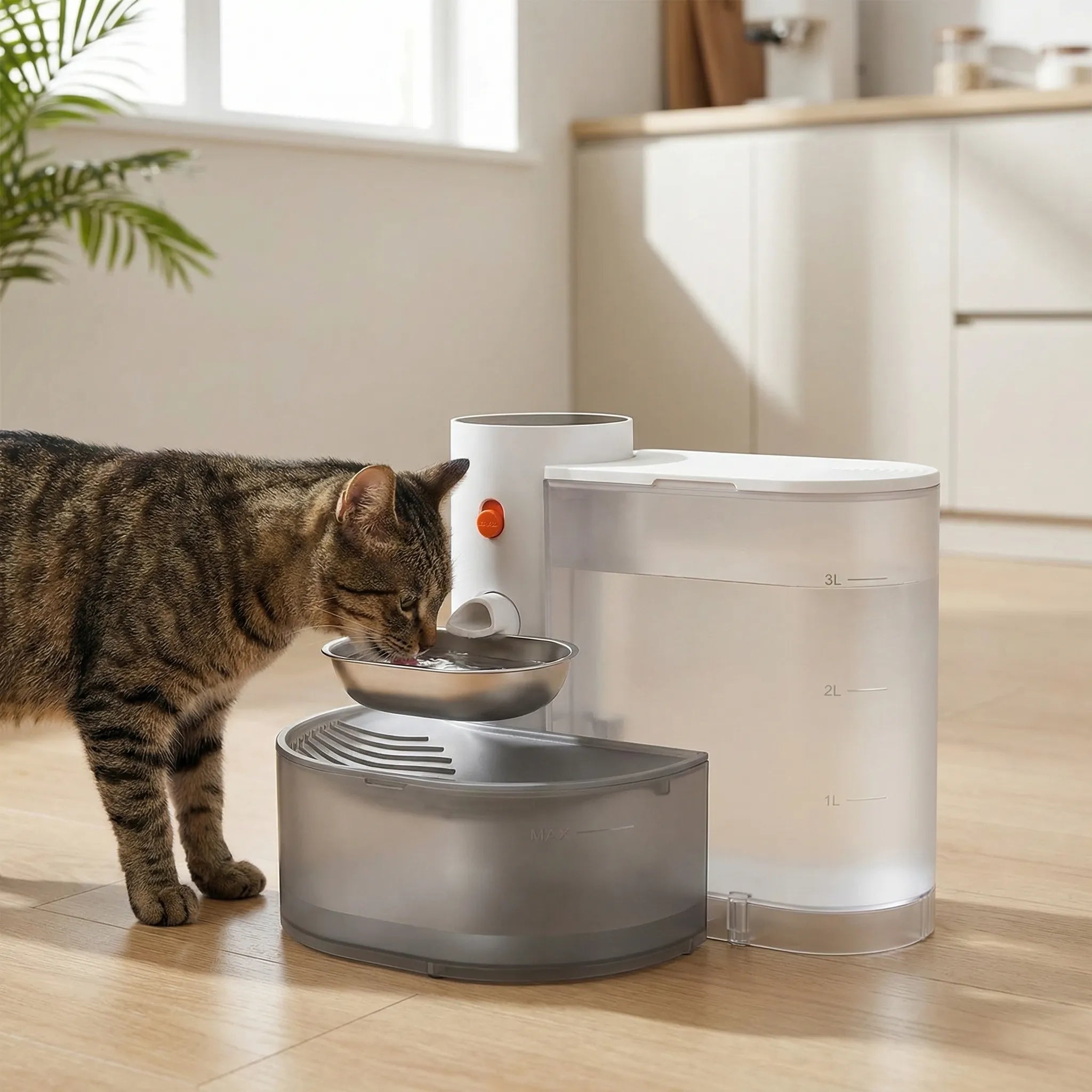 Automatischer Trinkbrunnen für Haustiere mit Filterfunktion und Edelstahlnapf