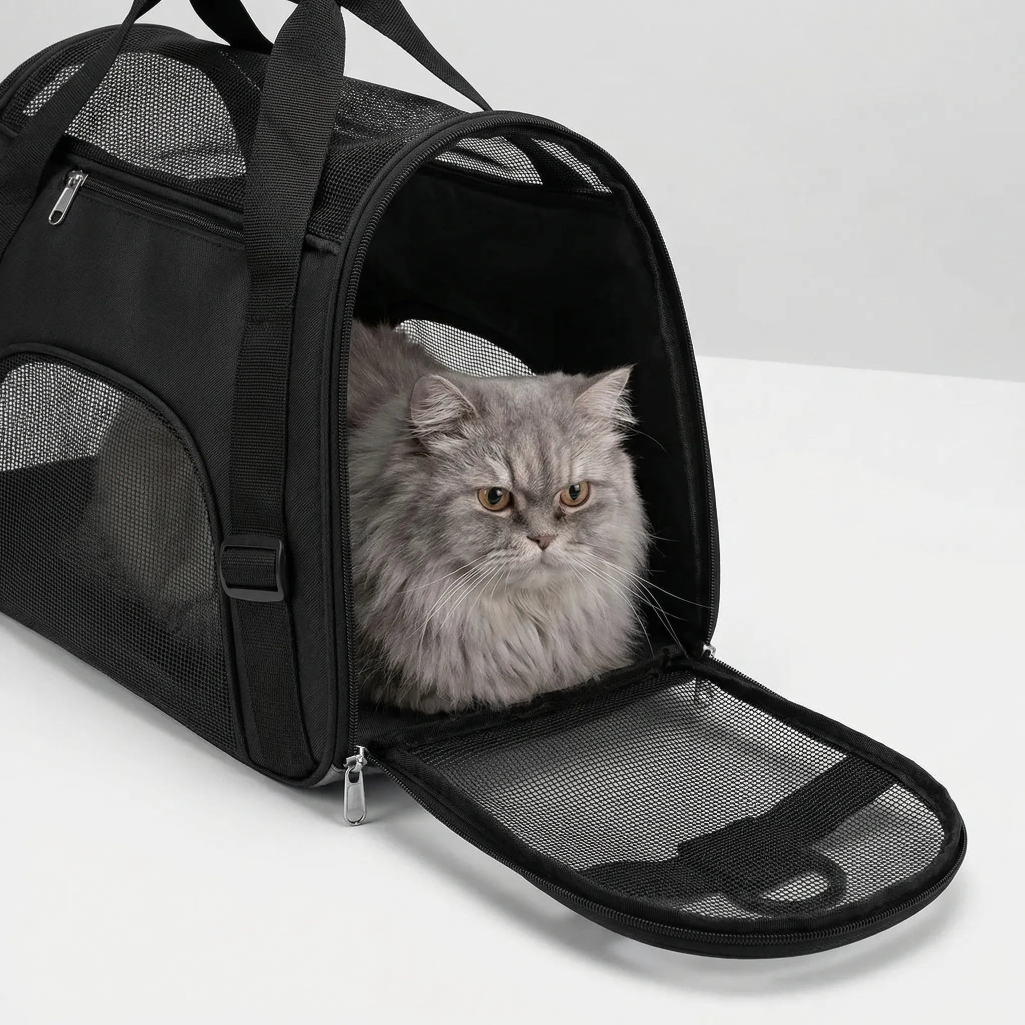 Haustiertransporttasche klappbar mit Mesh-Belüftung für Katzen und Hunde