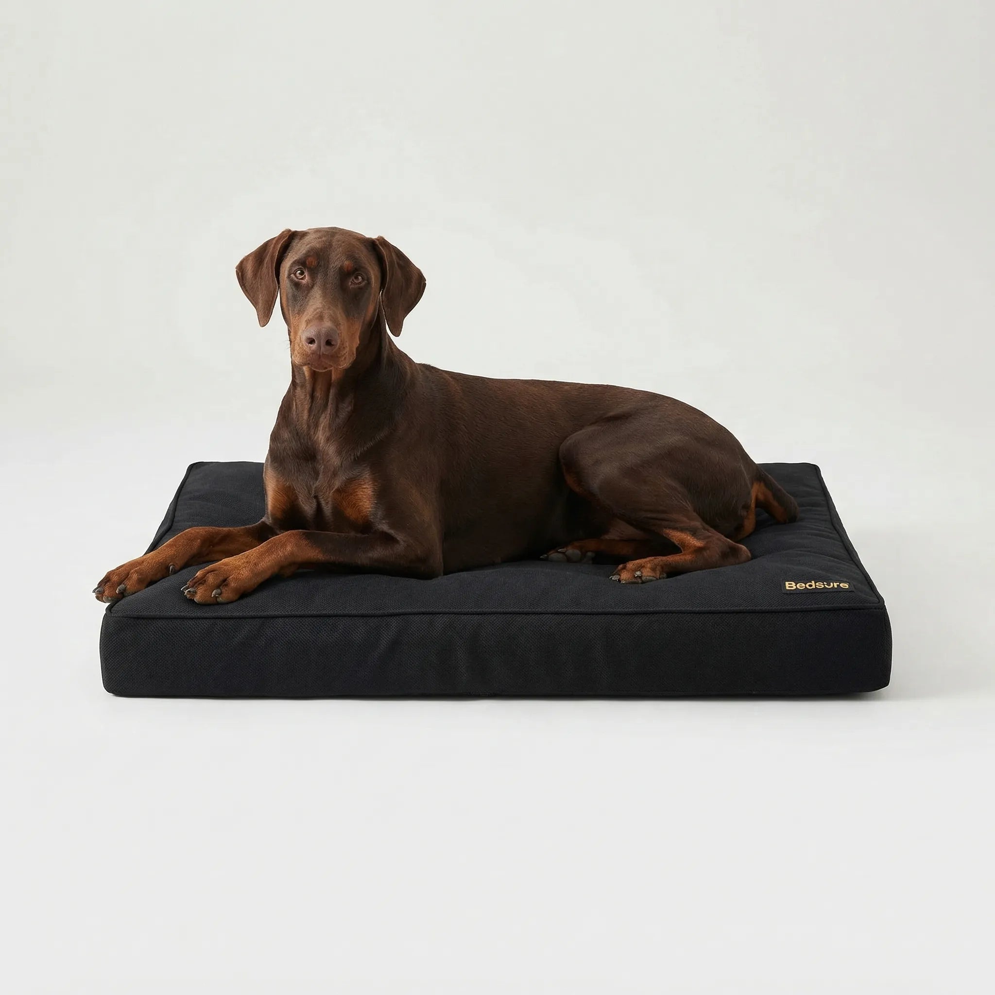 Orthopädisches Hundebett groß für Hunde mit wasserdichtem Futter und rutschfester Unterseite
