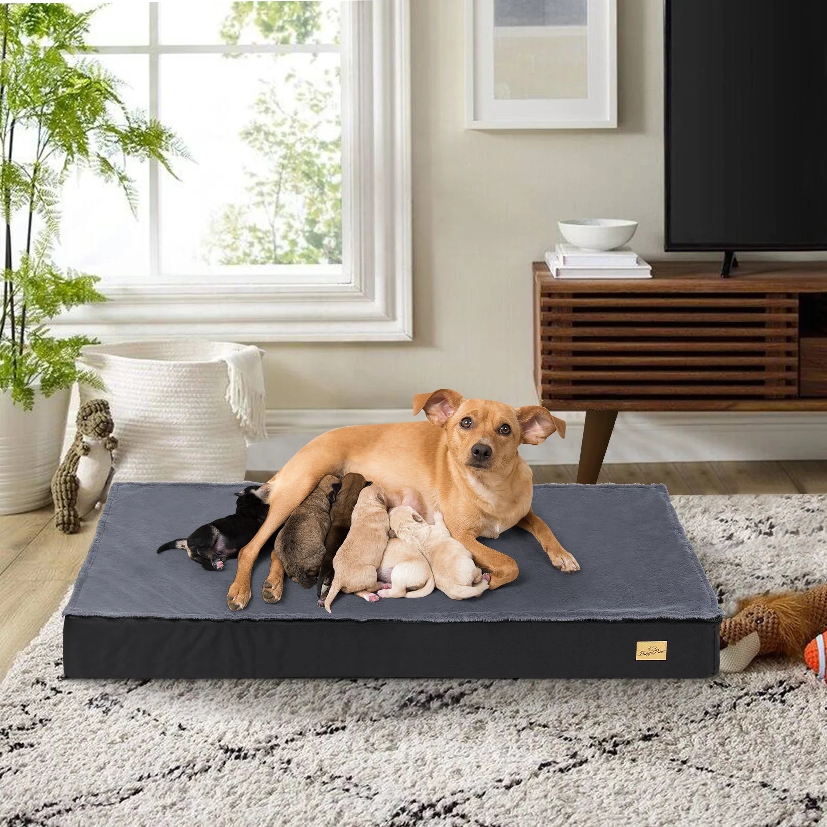 Orthopädisches Hundebett groß für Hunde mit wasserdichtem Futter und rutschfester Unterseite