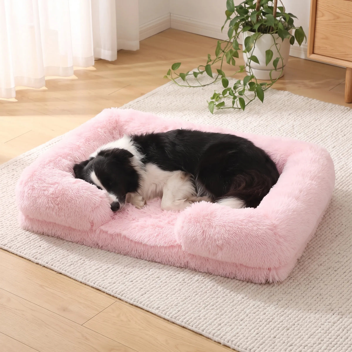 Nordspur | Klumora Orthopädisches Hundesofa Mit Hohem Rand