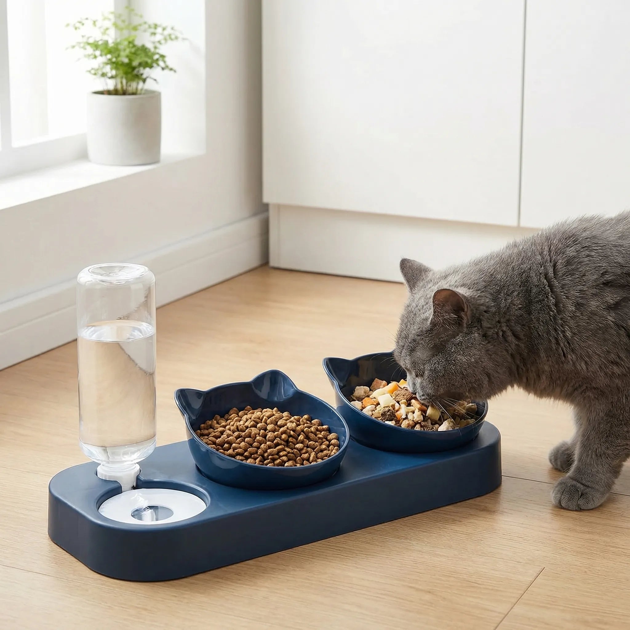 3-in-1 Katzennapf-Set mit geneigten Futternäpfen und automatischem Wasserspender