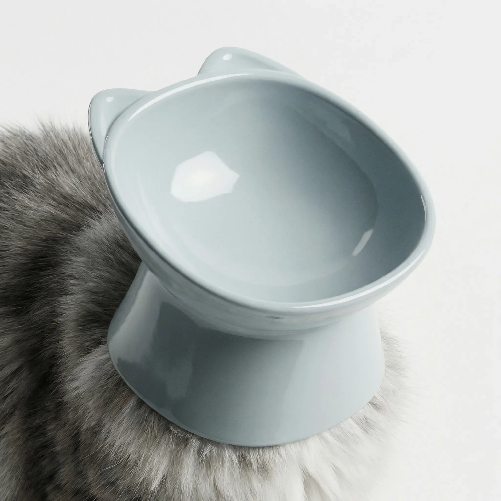 Erhöhter kippsicherer Katzennapf mit hohen Beinen, nordisches Design