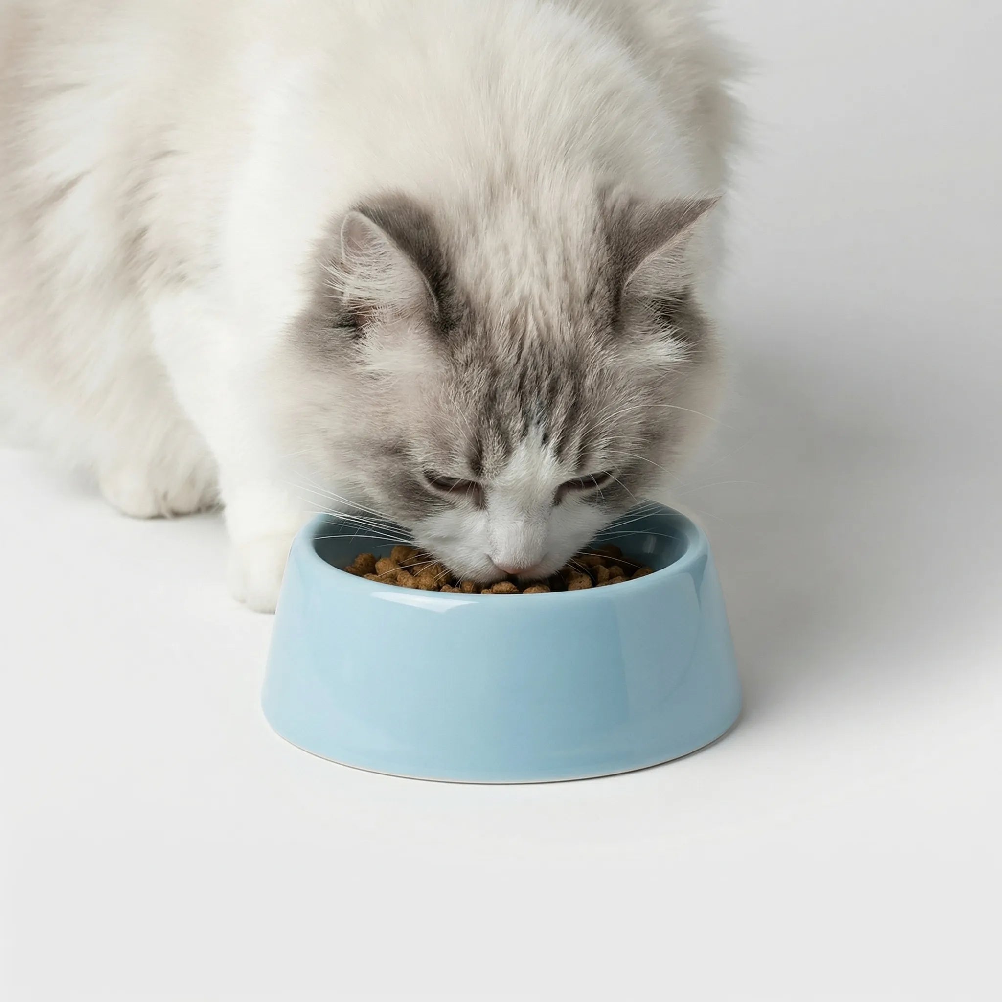 Erhöhter kippsicherer Katzennapf mit hohen Beinen, nordisches Design