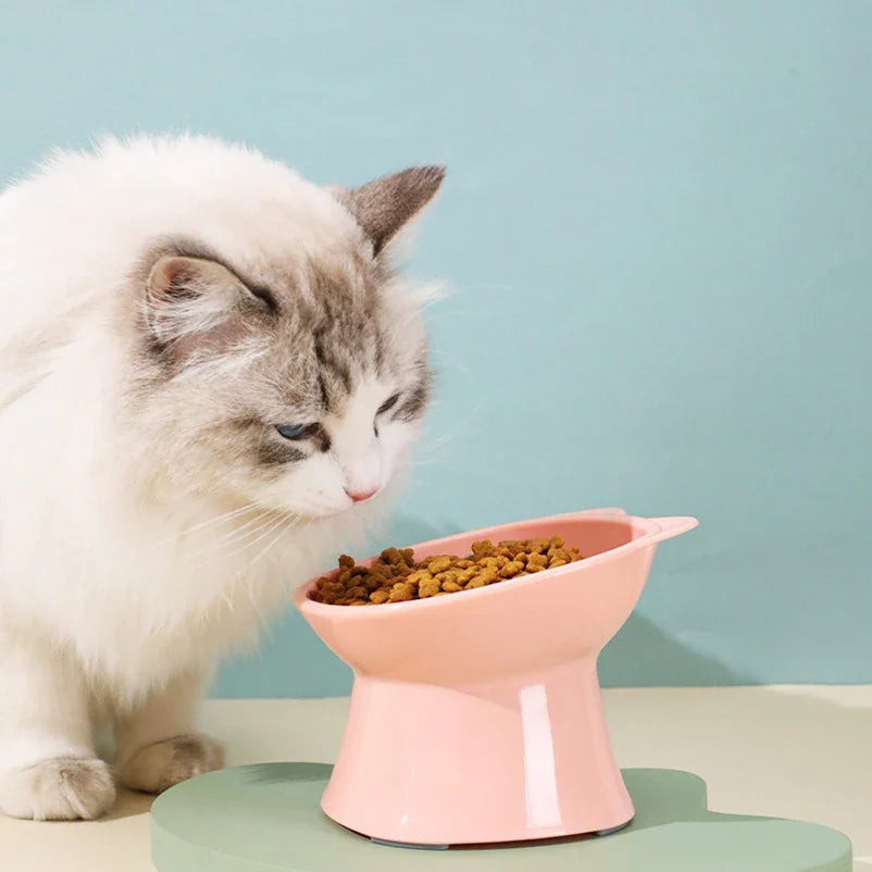 Erhöhter kippsicherer Katzennapf mit hohen Beinen, nordisches Design