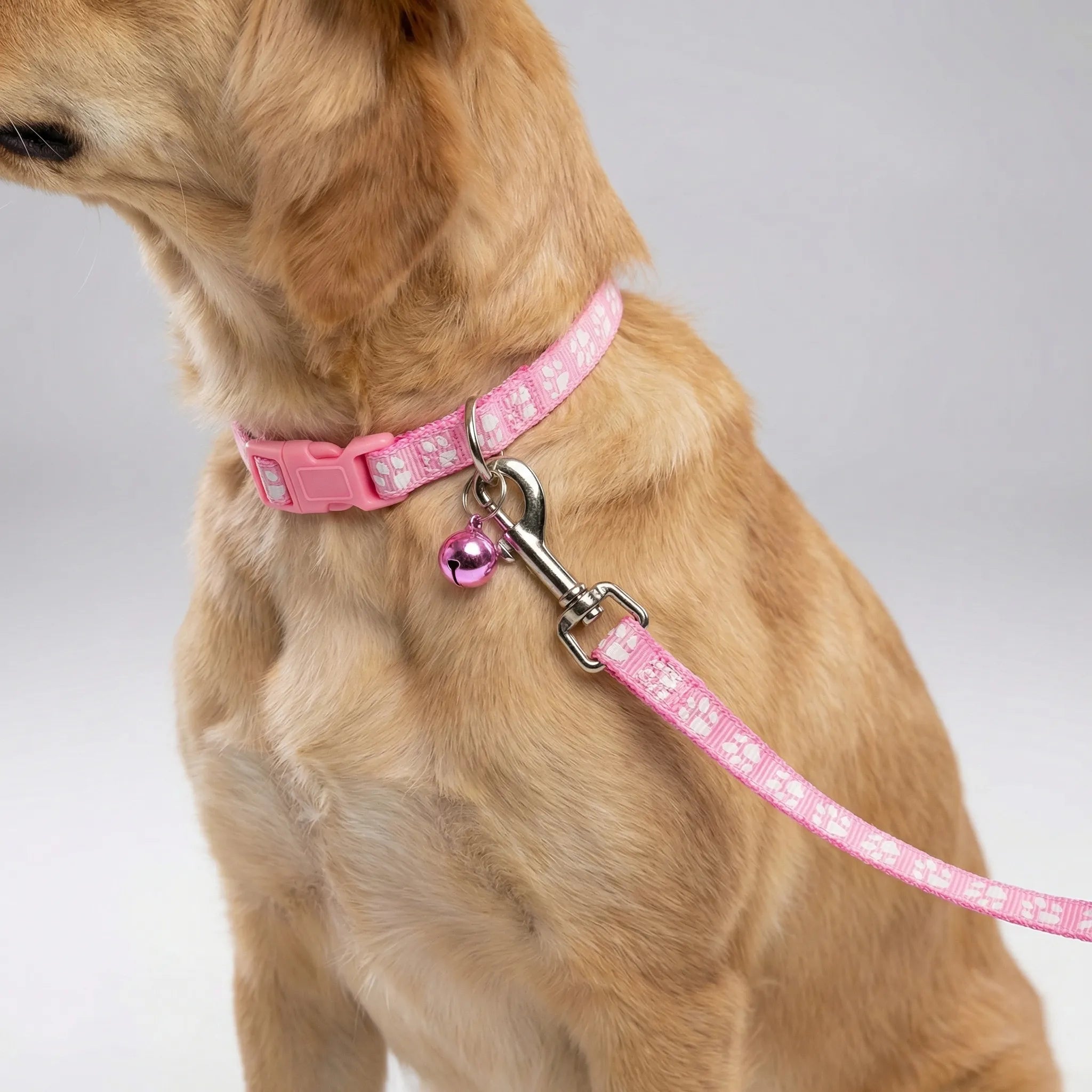 Halsband Leine Set für kleine Hunde Katzen mit Pfotenmuster