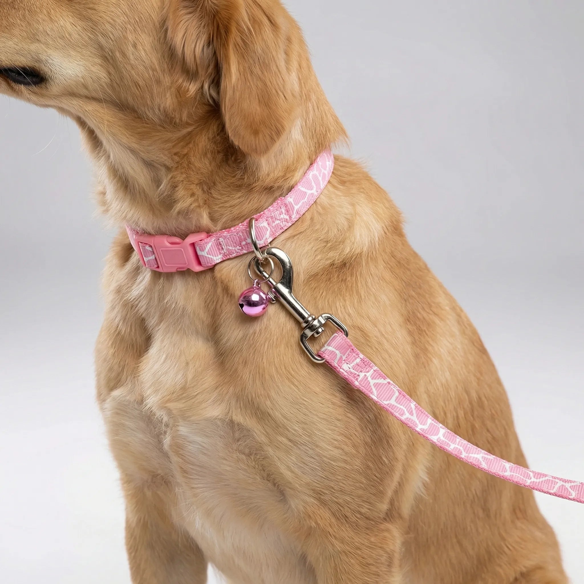 Halsband Leine Set für kleine Hunde Katzen mit Pfotenmuster