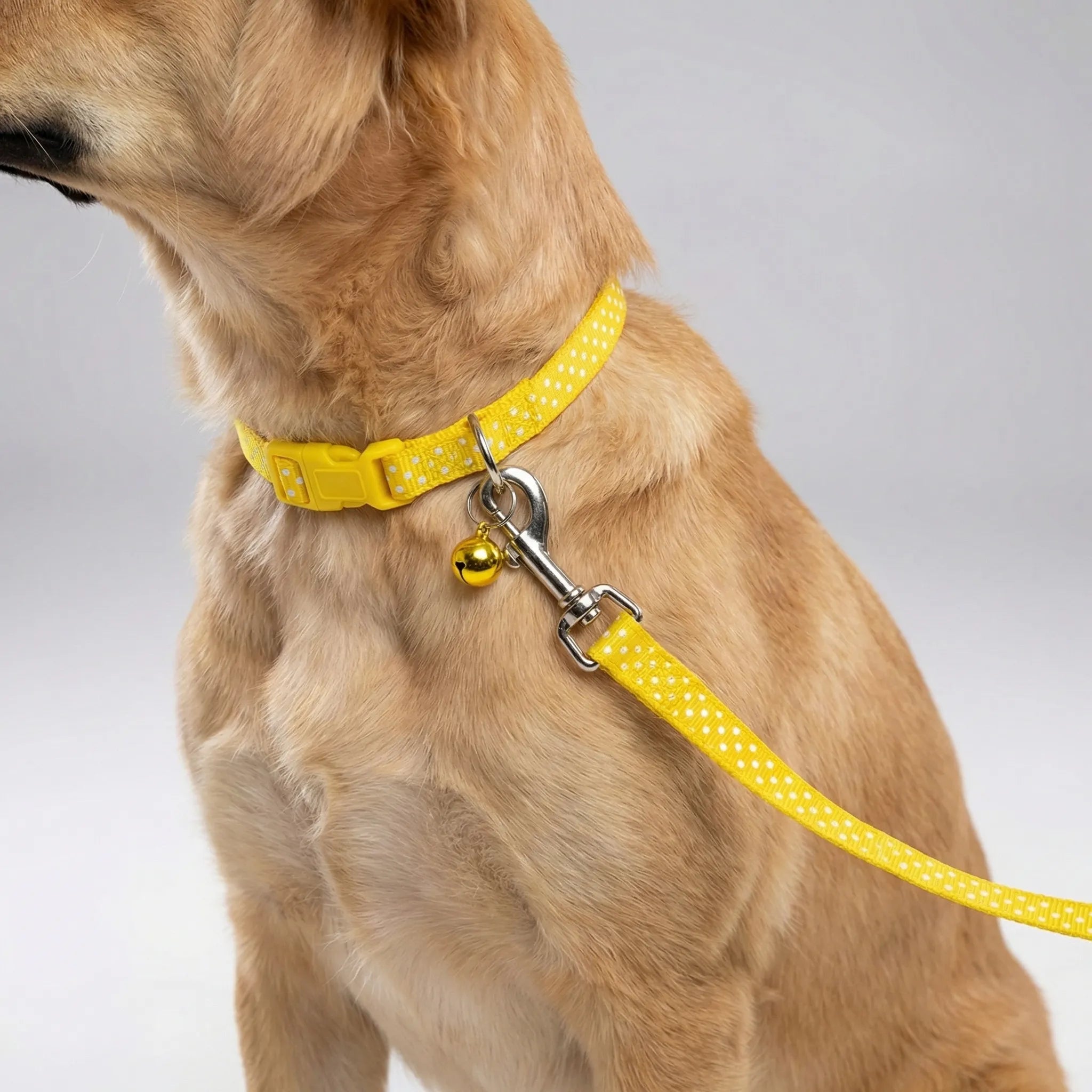 Halsband Leine Set für kleine Hunde Katzen mit Pfotenmuster