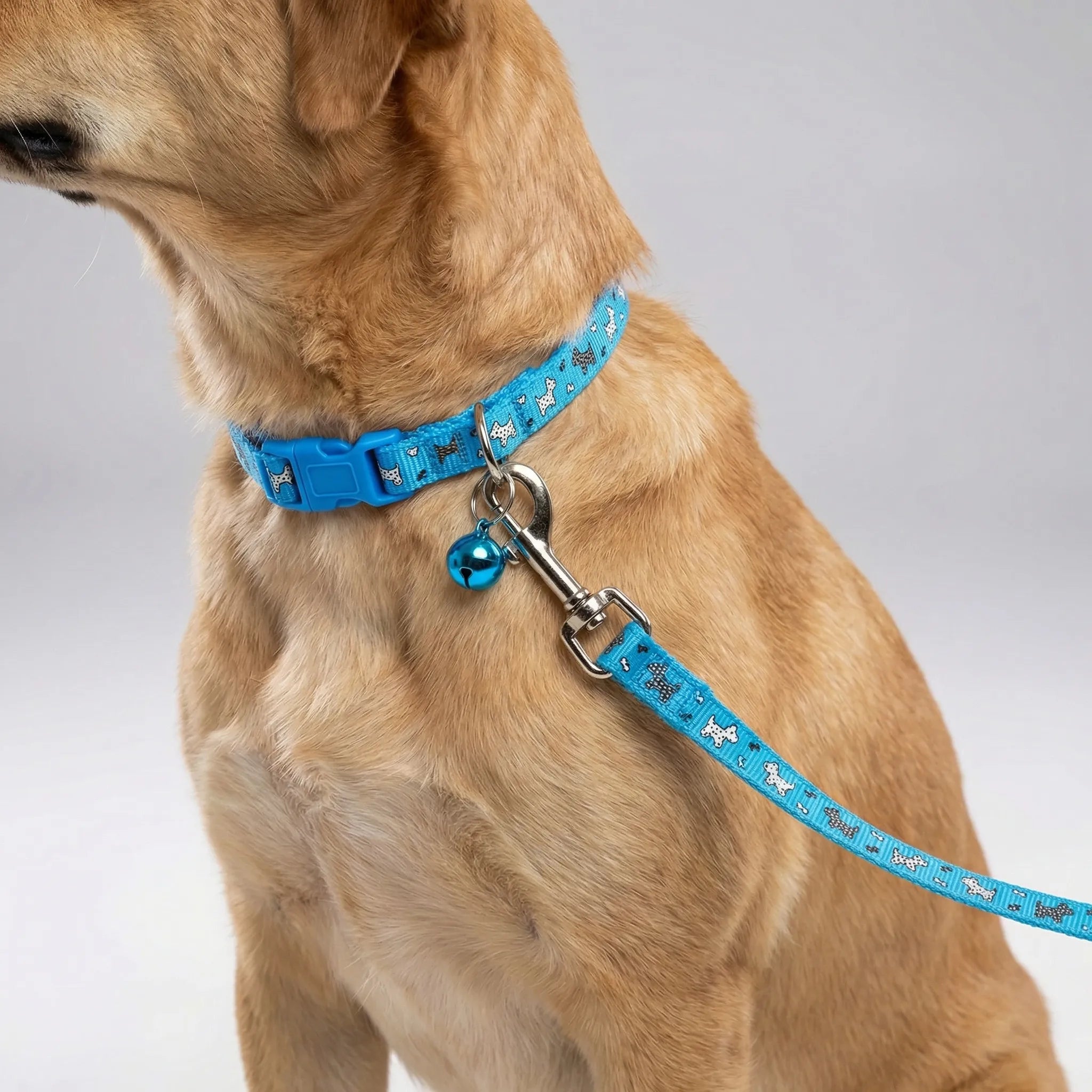 Halsband Leine Set für kleine Hunde Katzen mit Pfotenmuster