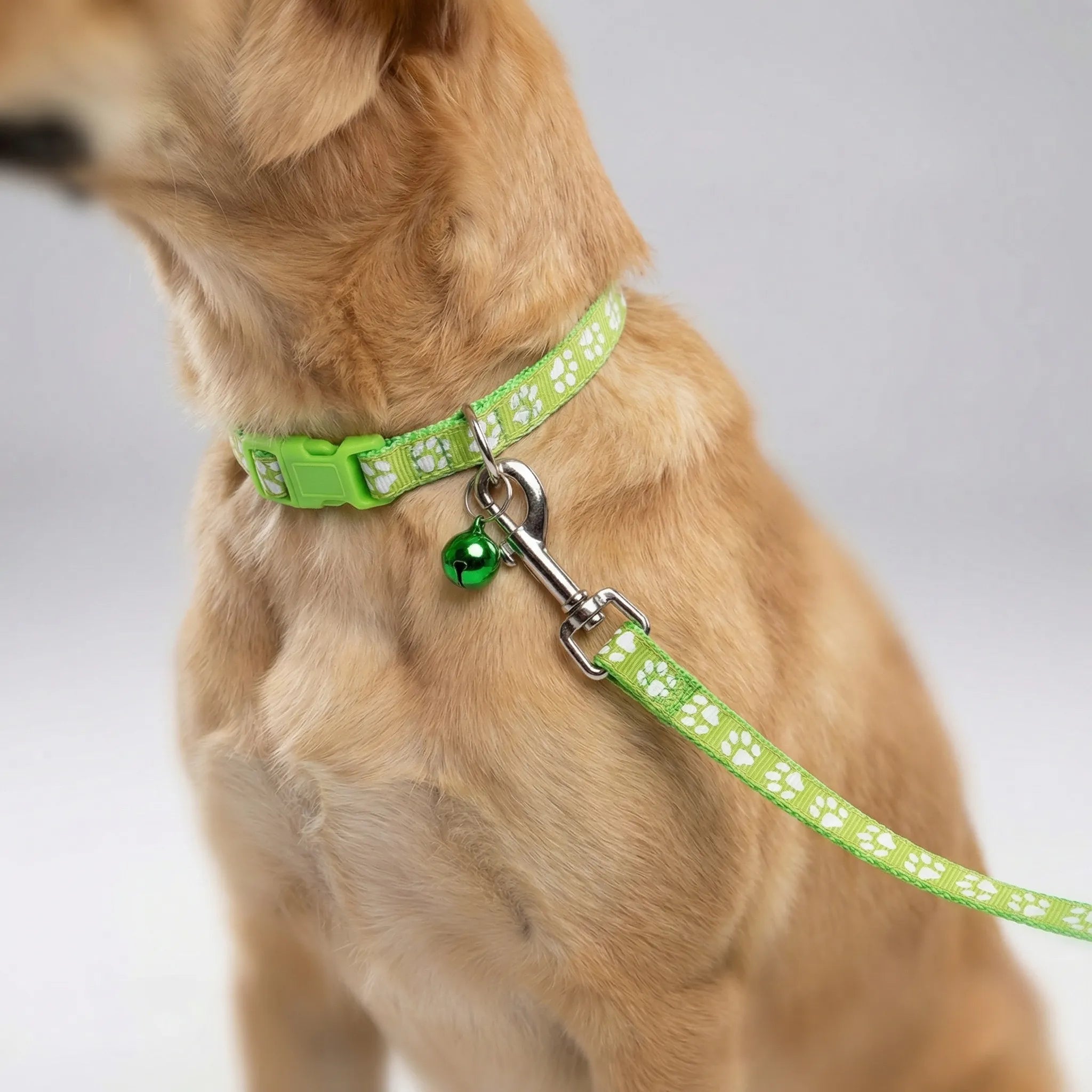 Halsband Leine Set für kleine Hunde Katzen mit Pfotenmuster