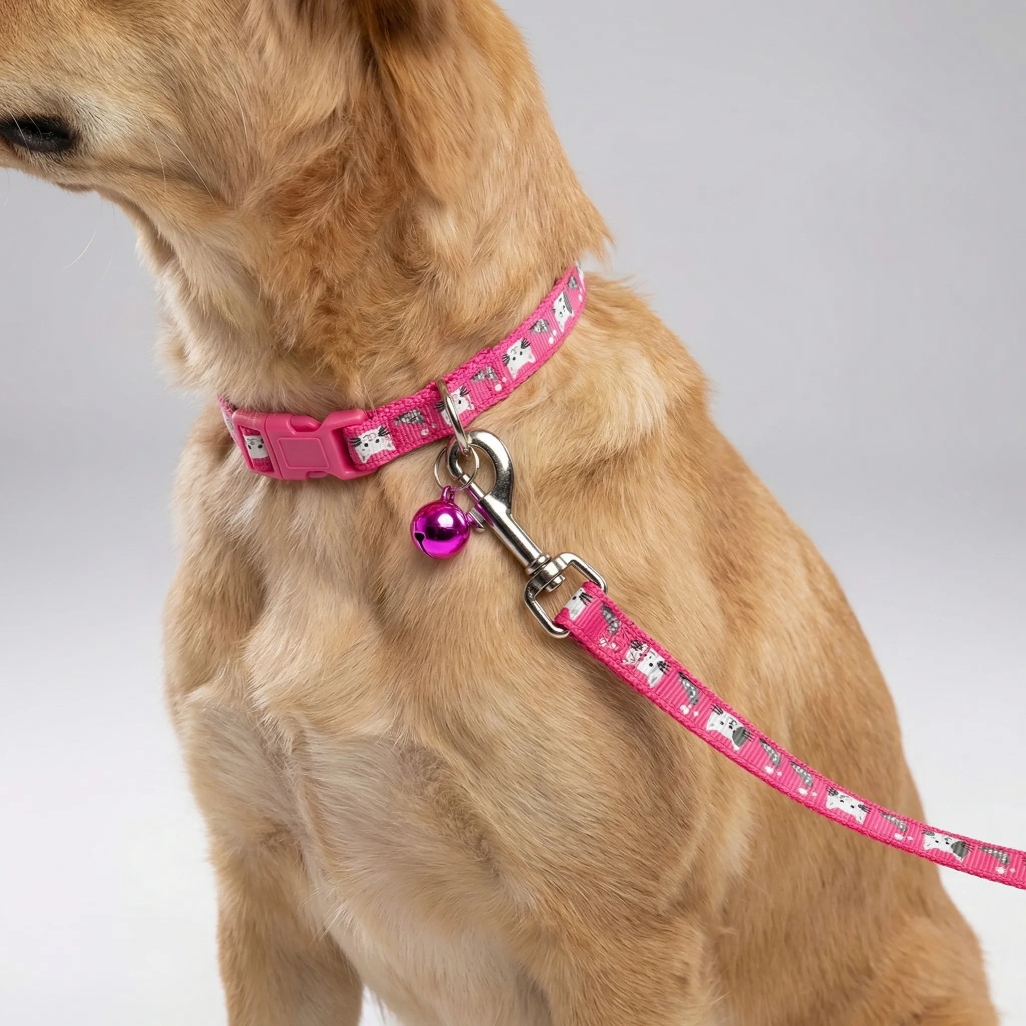 Halsband Leine Set für kleine Hunde Katzen mit Pfotenmuster