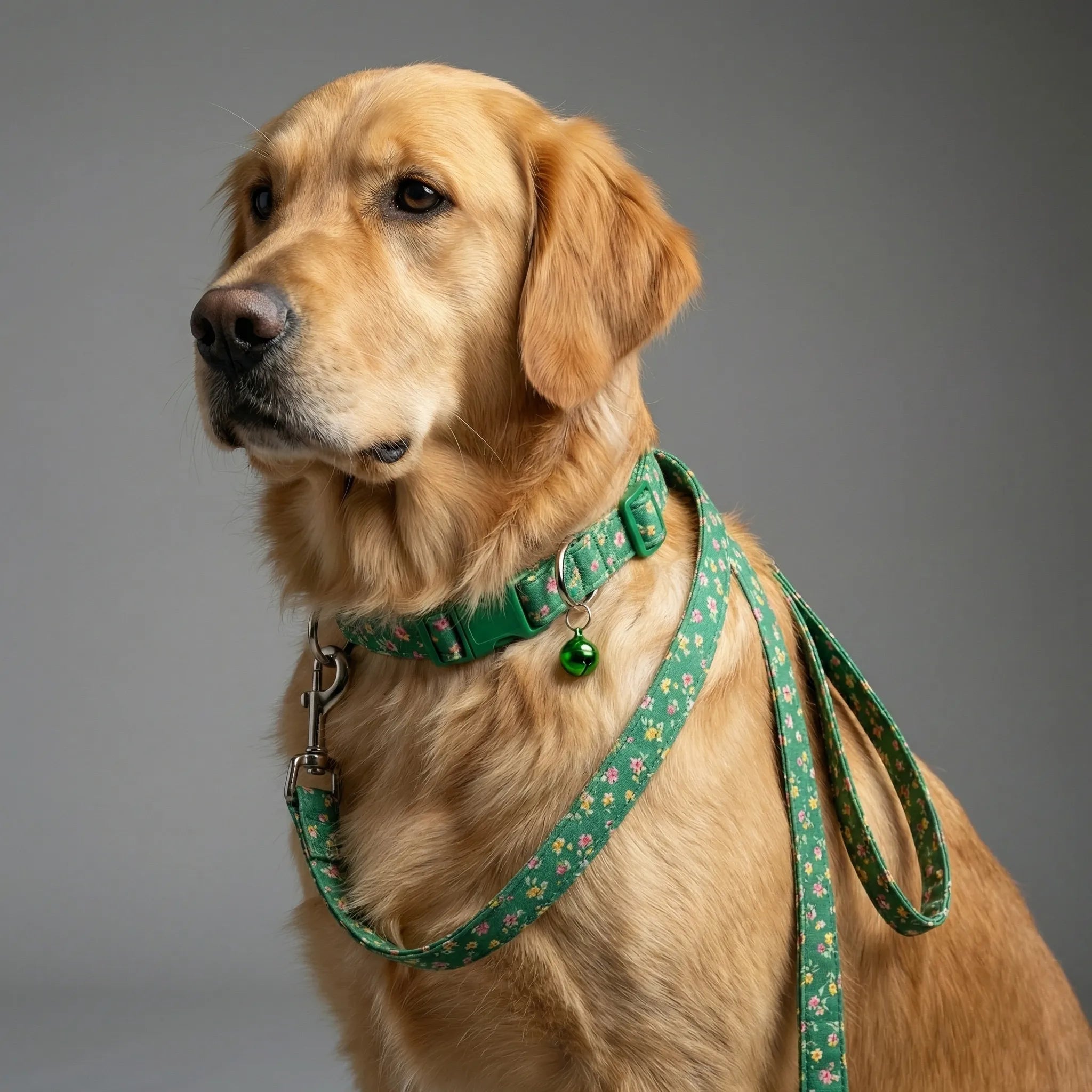 Halsband Leine Set für kleine Hunde Katzen mit Pfotenmuster