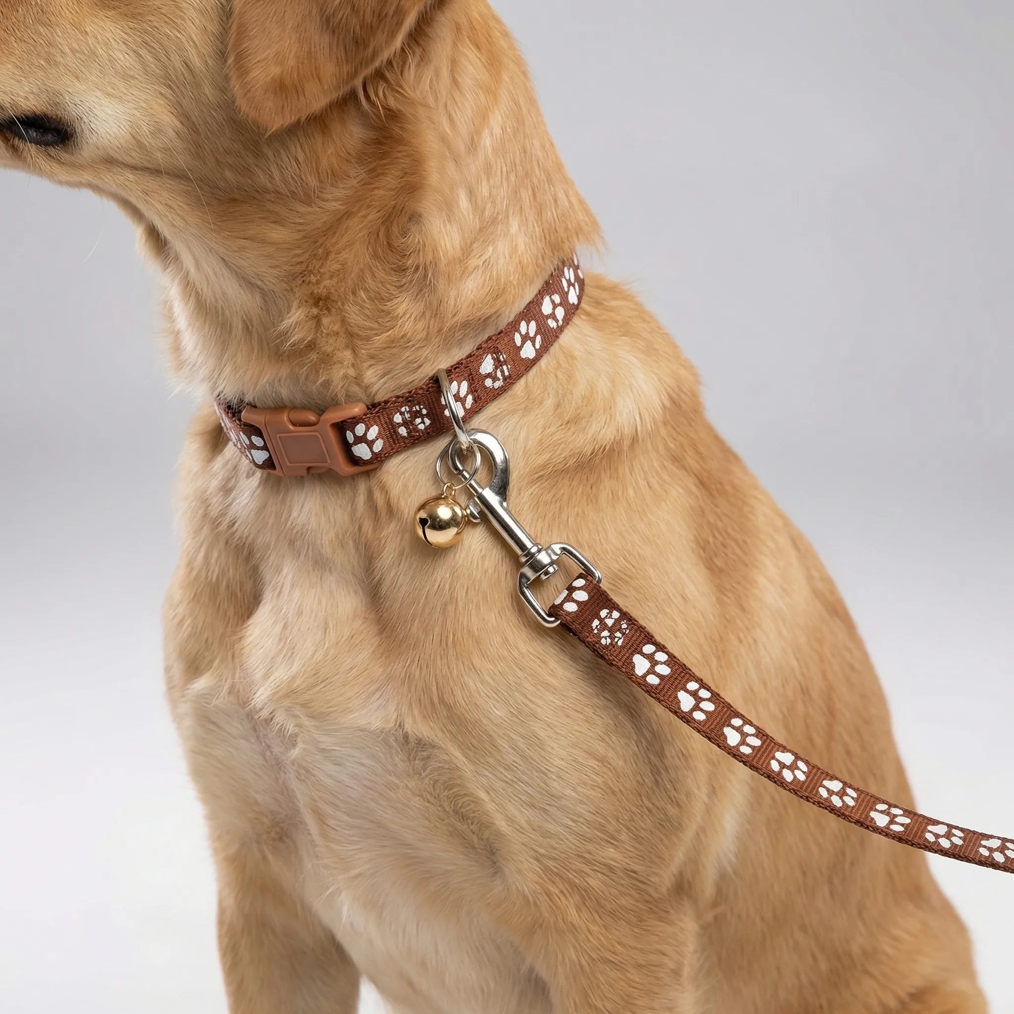 Halsband Leine Set für kleine Hunde Katzen mit Pfotenmuster