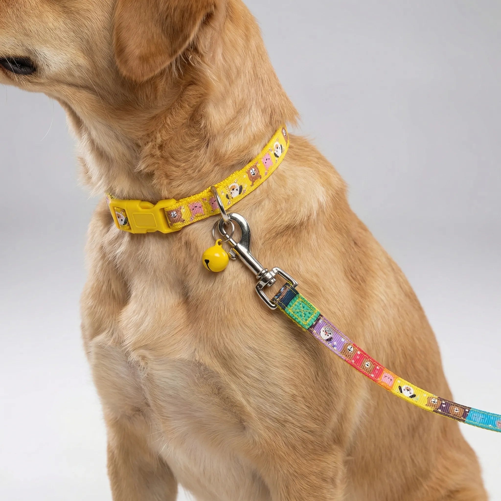 Halsband Leine Set für kleine Hunde Katzen mit Pfotenmuster