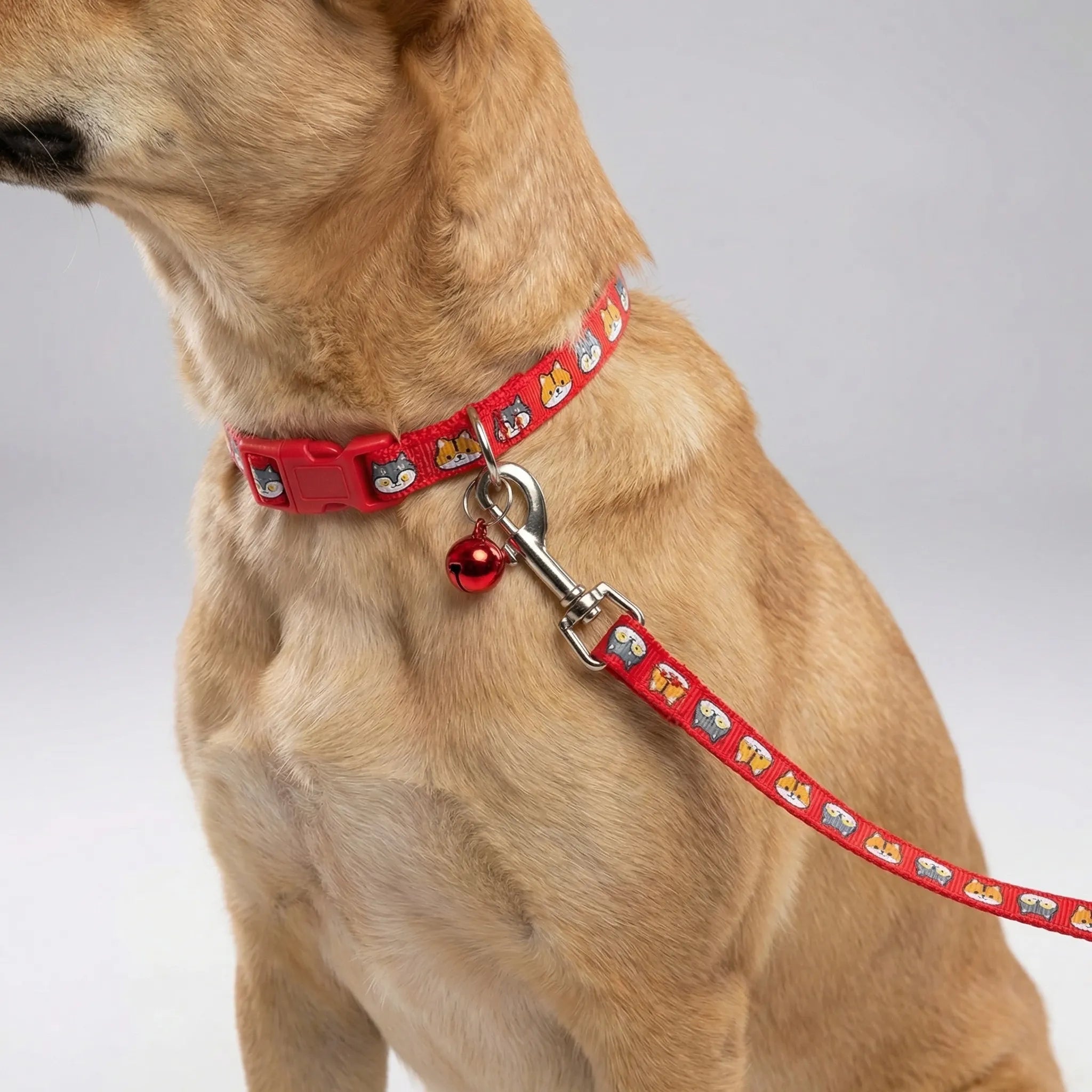 Halsband Leine Set für kleine Hunde Katzen mit Pfotenmuster