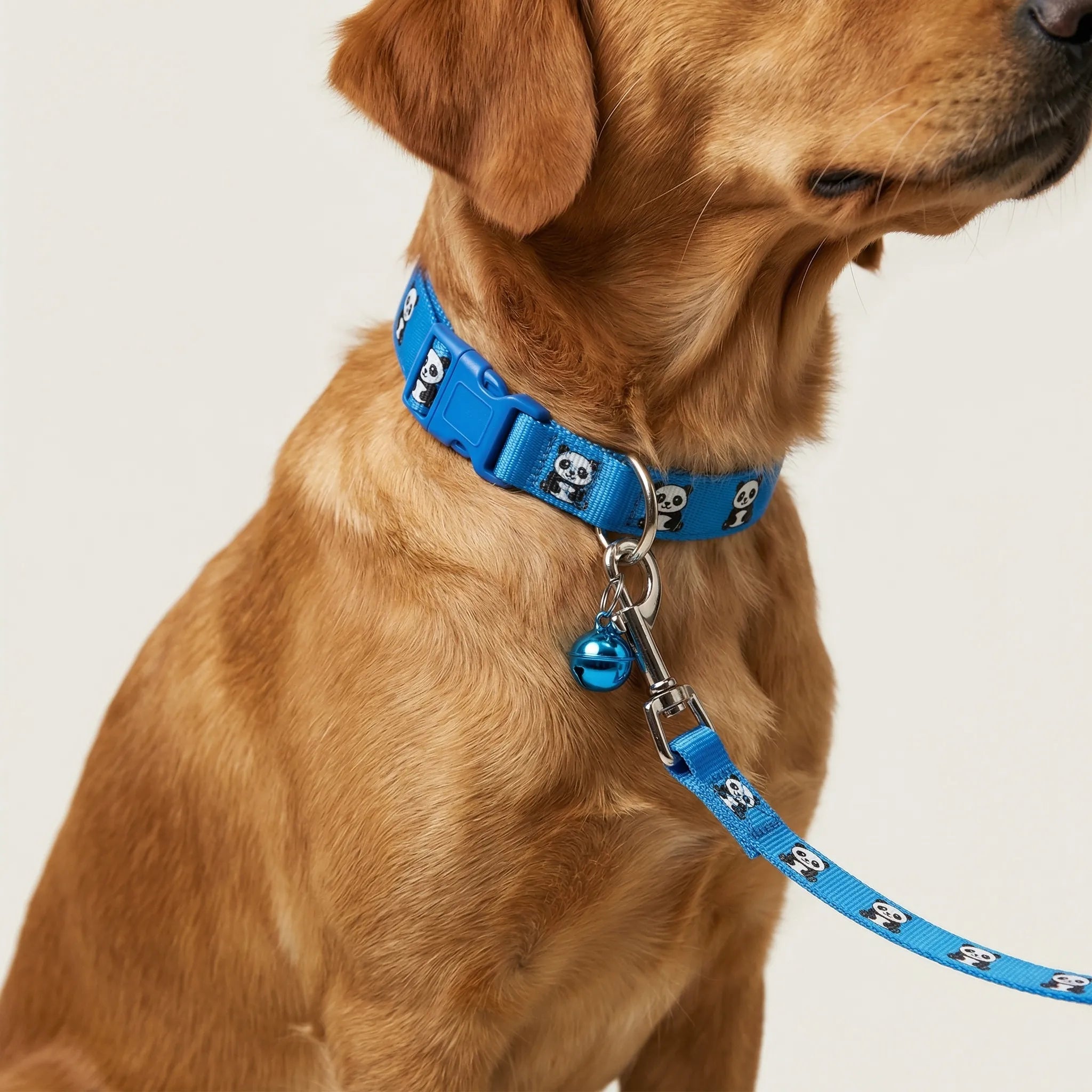 Halsband Leine Set für kleine Hunde Katzen mit Pfotenmuster