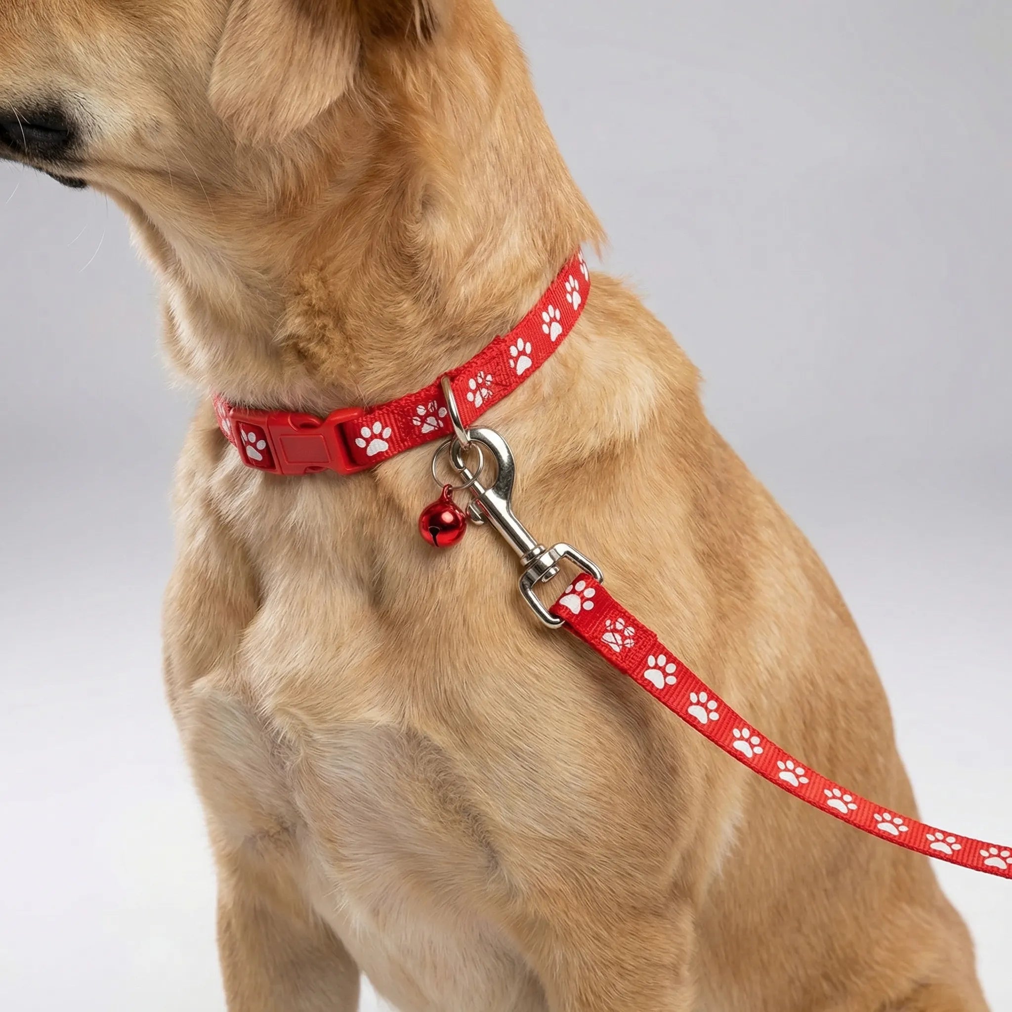 Halsband Leine Set für kleine Hunde Katzen mit Pfotenmuster