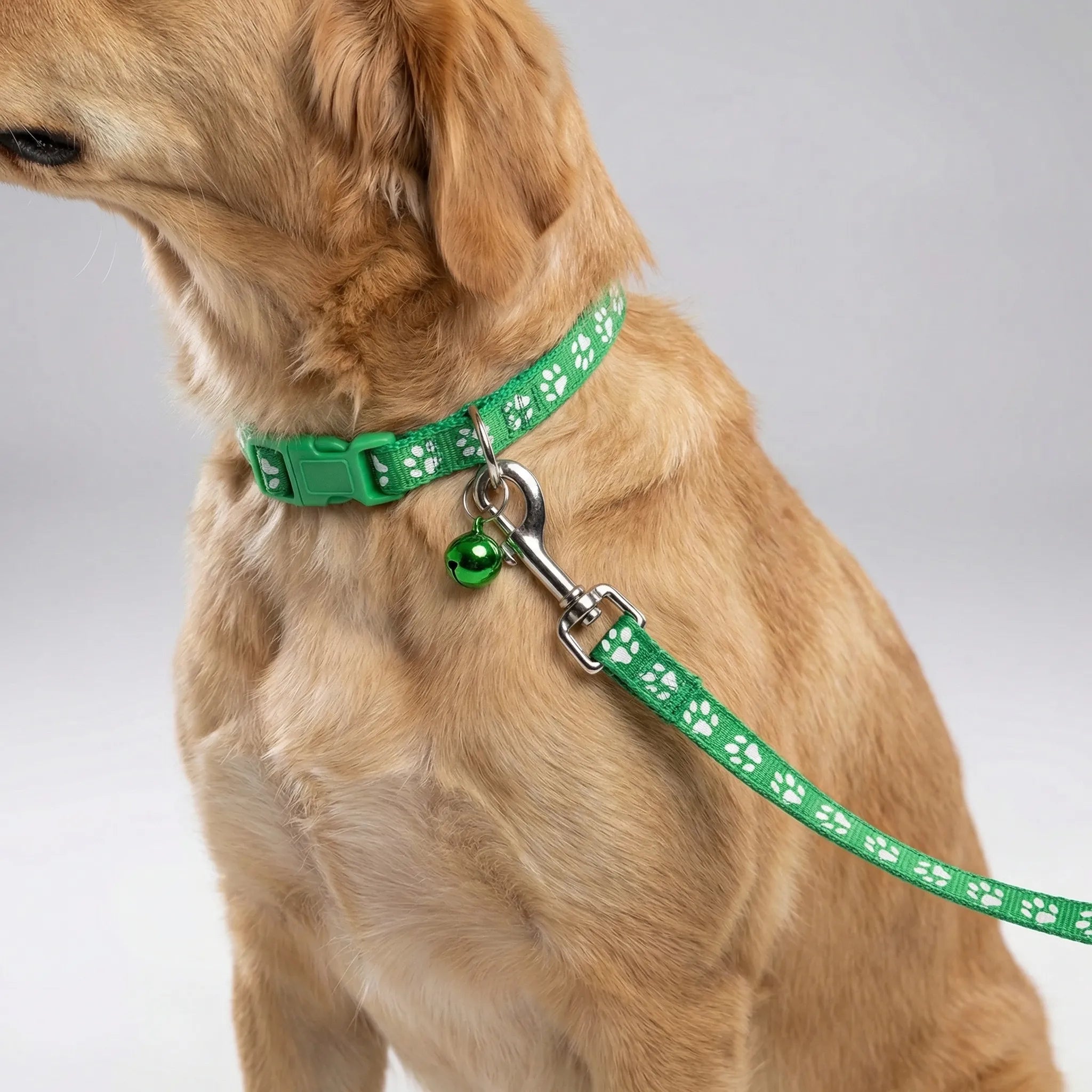 Halsband Leine Set für kleine Hunde Katzen mit Pfotenmuster