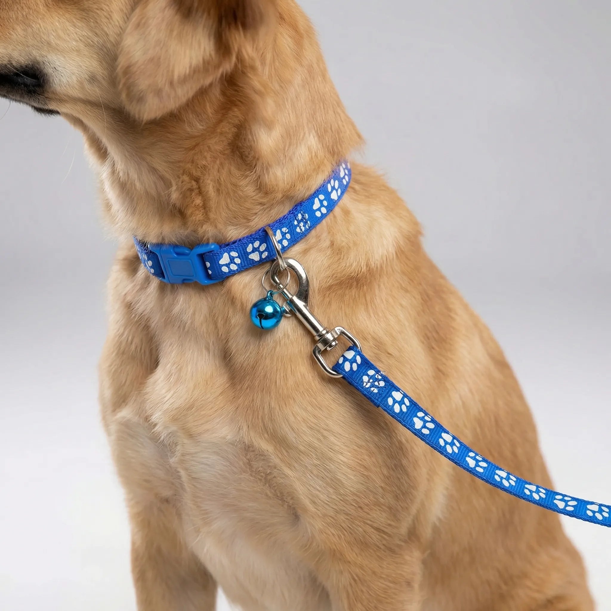 Halsband Leine Set für kleine Hunde Katzen mit Pfotenmuster