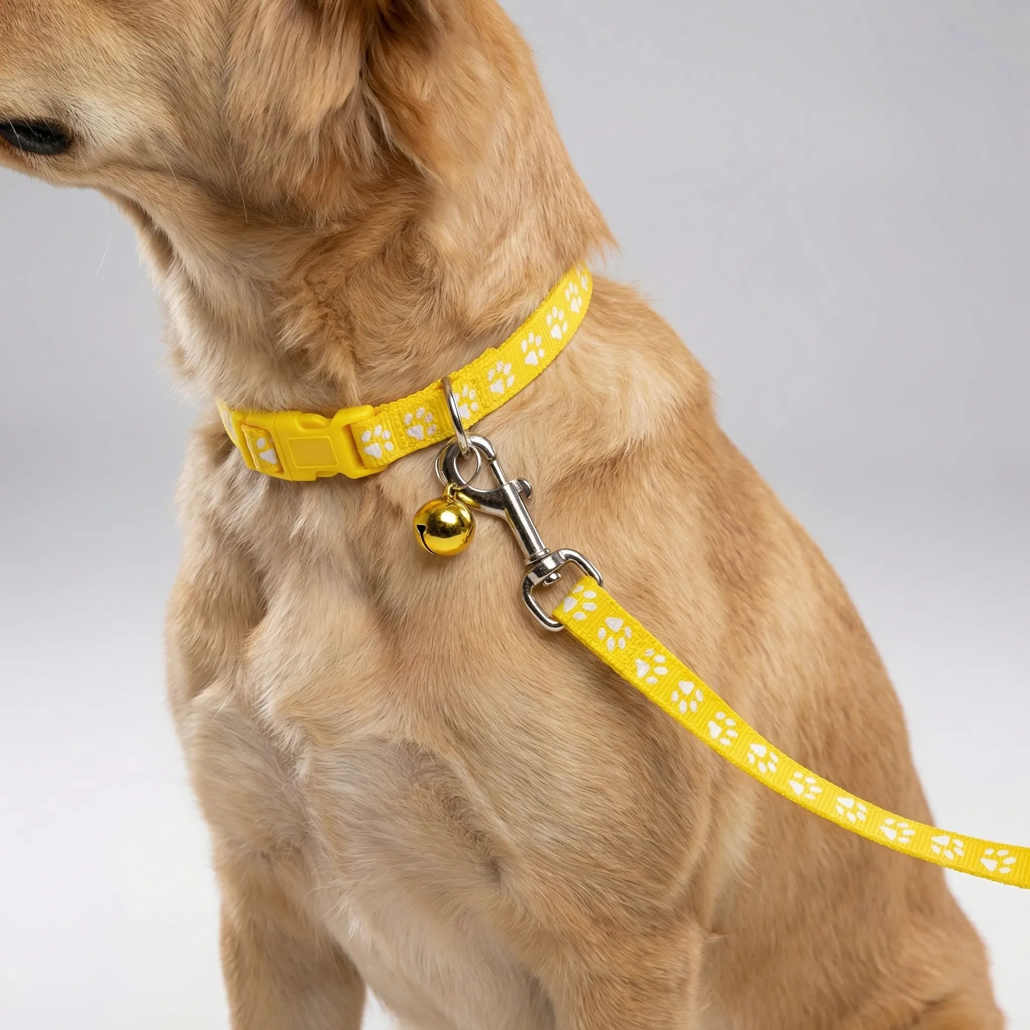 Halsband Leine Set für kleine Hunde Katzen mit Pfotenmuster