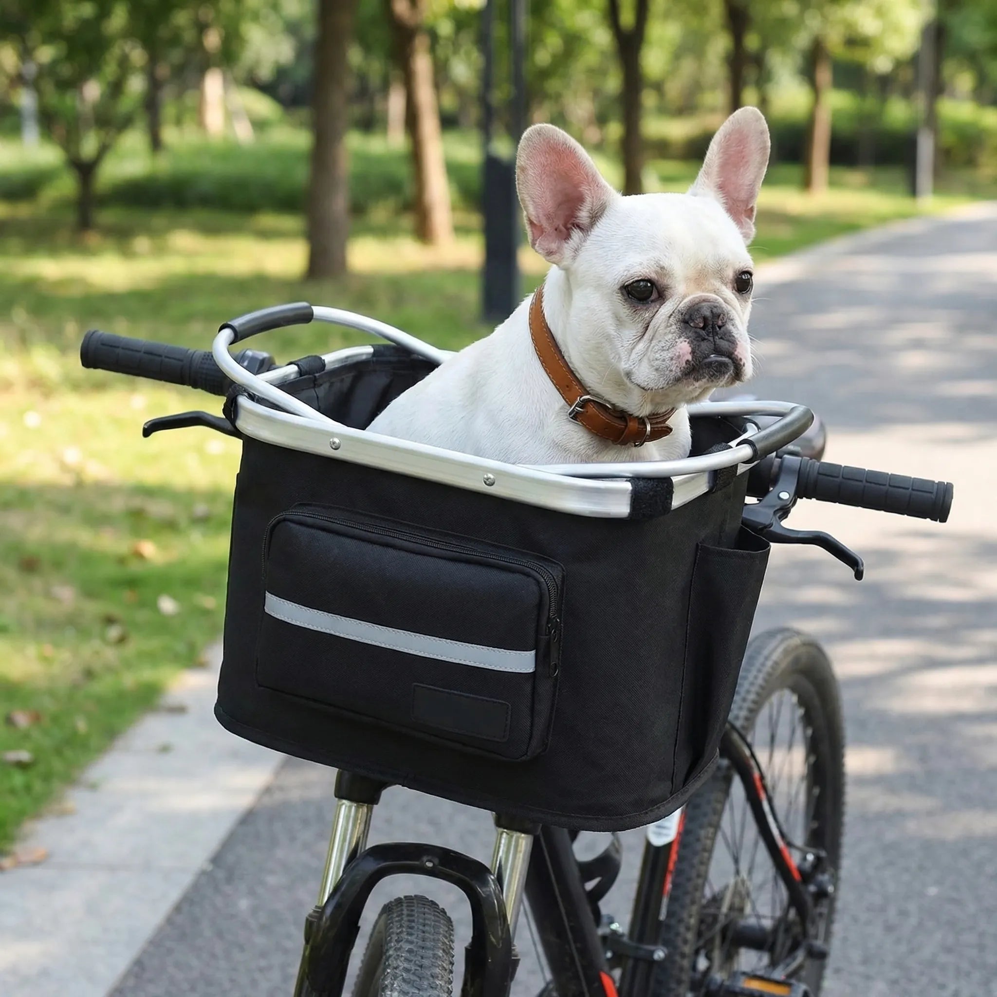 Fahrrad-Haustierkorb tragbar belüftet für kleine Hunde und Katzen