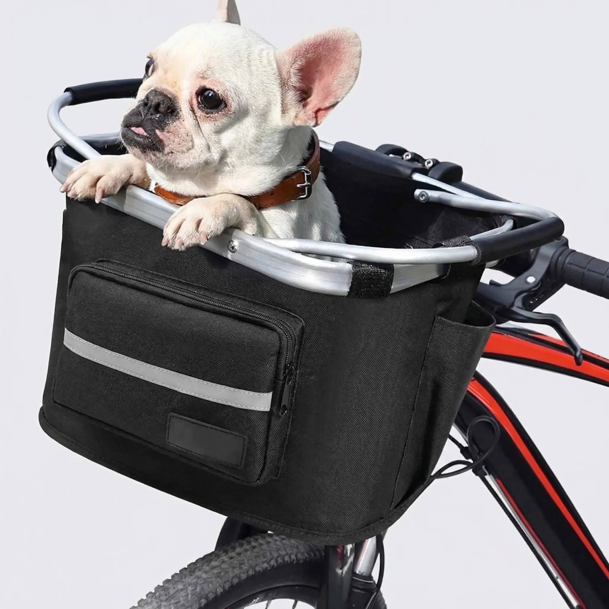 Fahrrad-Haustierkorb tragbar belüftet für kleine Hunde und Katzen