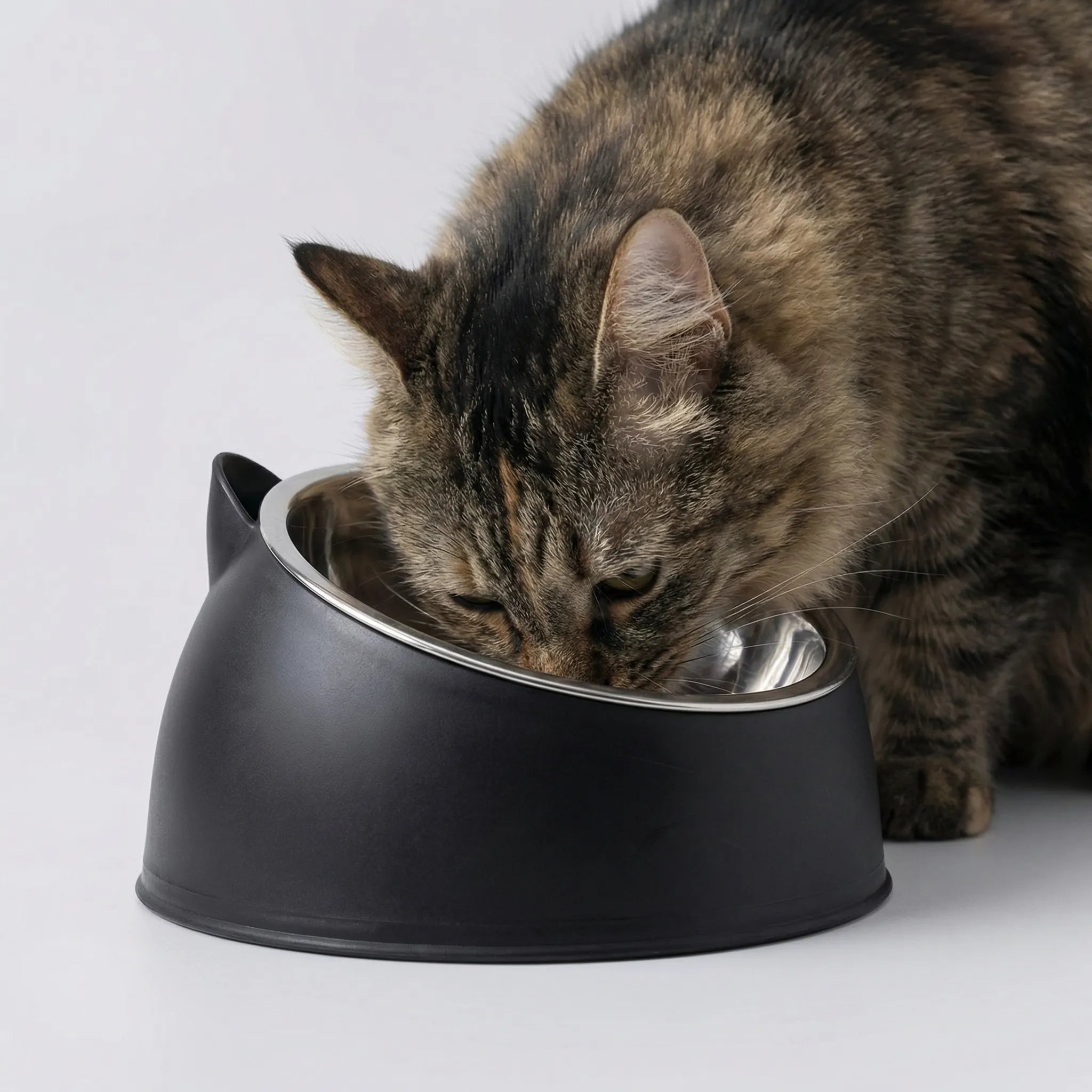 Geneigter Katzenfutternapf Edelstahl rutschfest Katzenohren Design