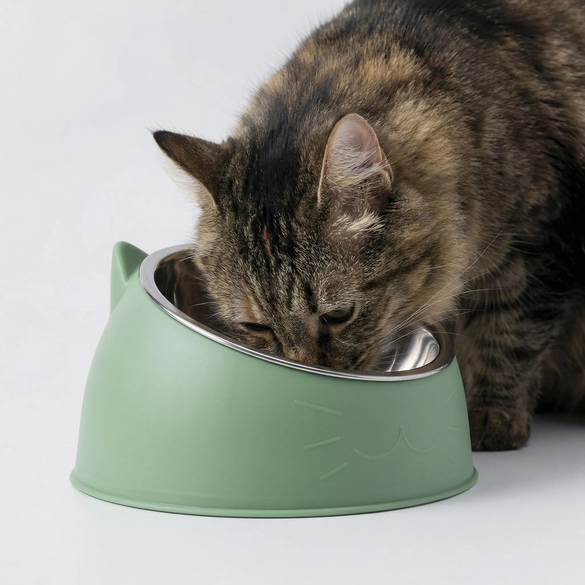 Geneigter Katzenfutternapf Edelstahl rutschfest Katzenohren Design