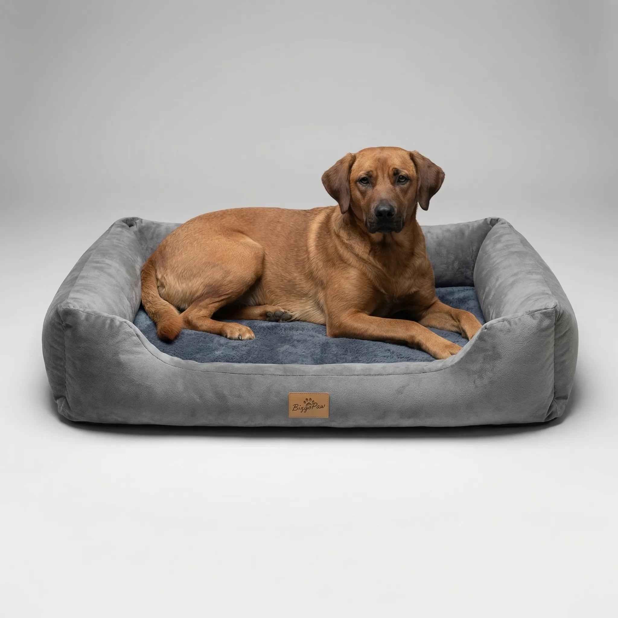Orthopädisches Hundebett Sofa-Stil mit waschbarem Bezug und stützender Schaumstoffbasis