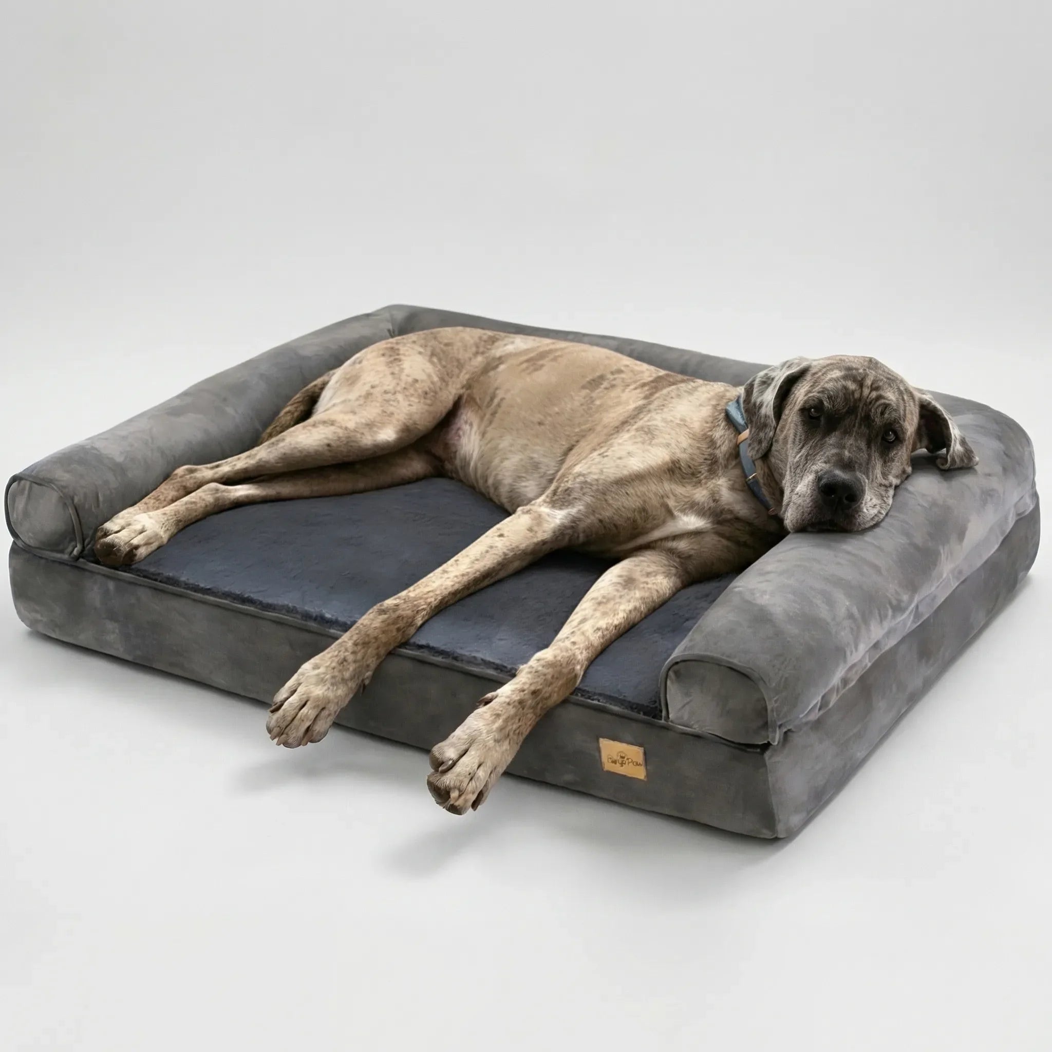 Orthopädisches Hundebett Sofa-Stil mit waschbarem Bezug und stützender Schaumstoffbasis
