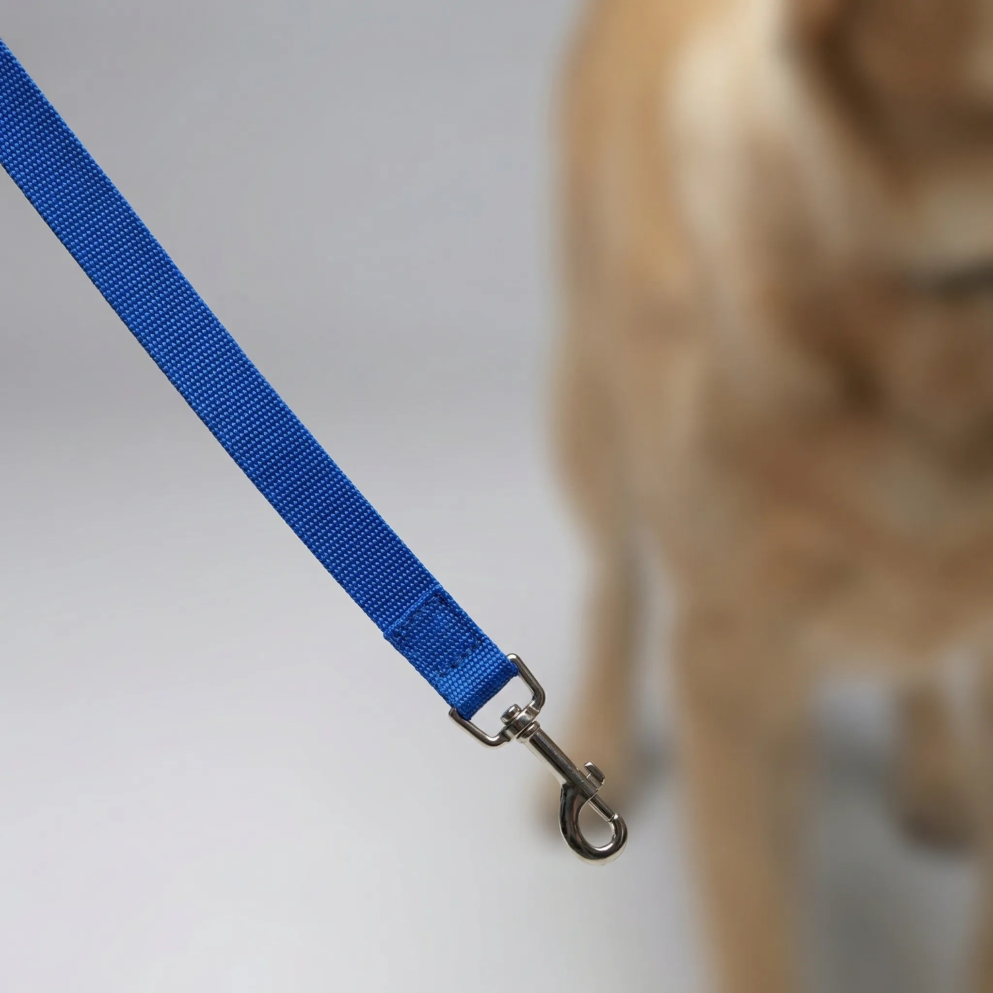 Lange Hundetrainingsleine aus robustem Nylon für Rückruftraining