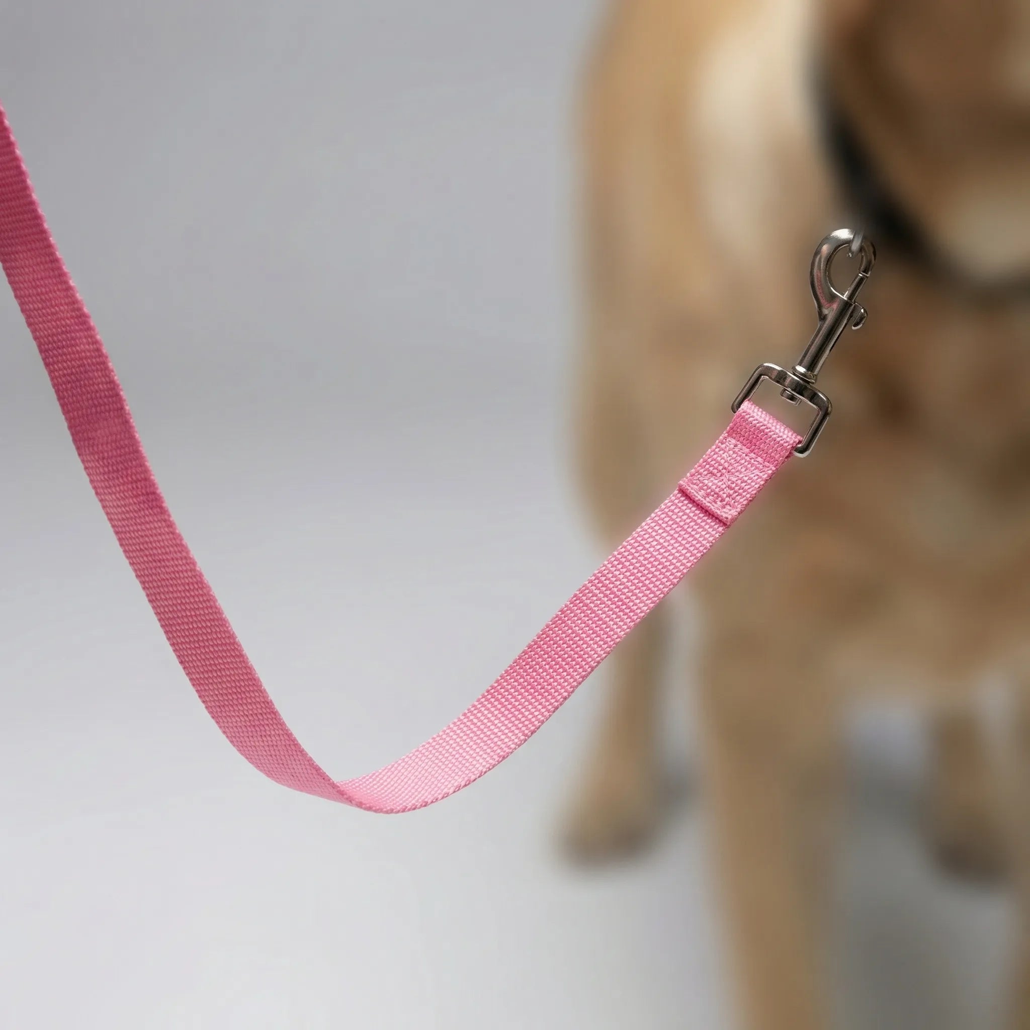 Lange Hundetrainingsleine aus robustem Nylon für Rückruftraining