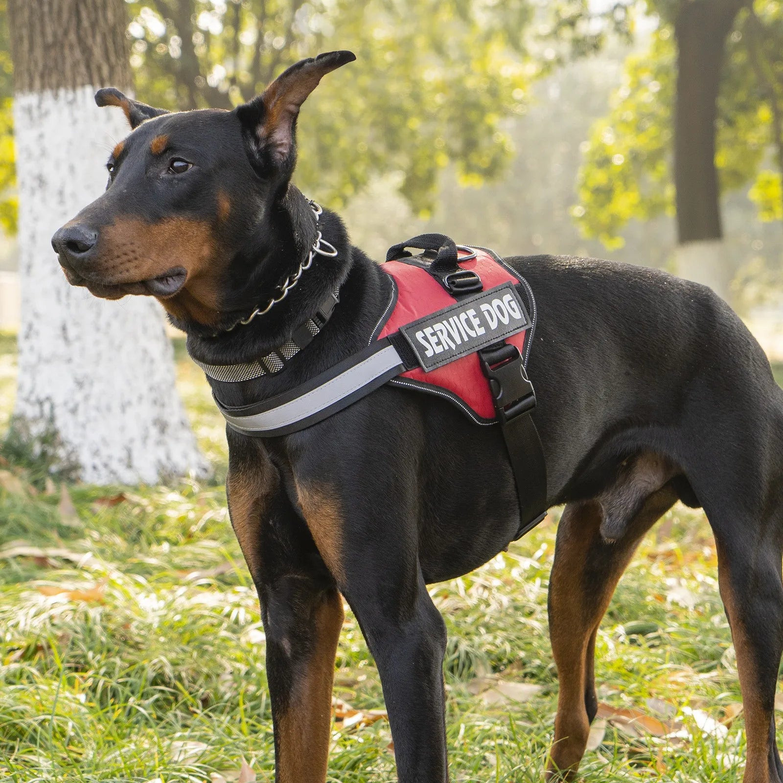 Hundegeschirr Brustgeschirr reflektierend verstellbar für große Hunde